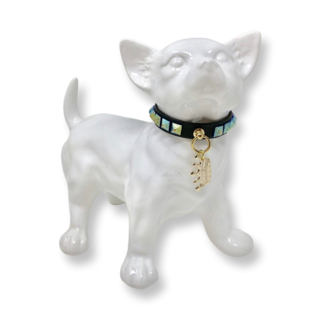 Fashion Collar and Chain Leash Set - Black with Metallic Studs