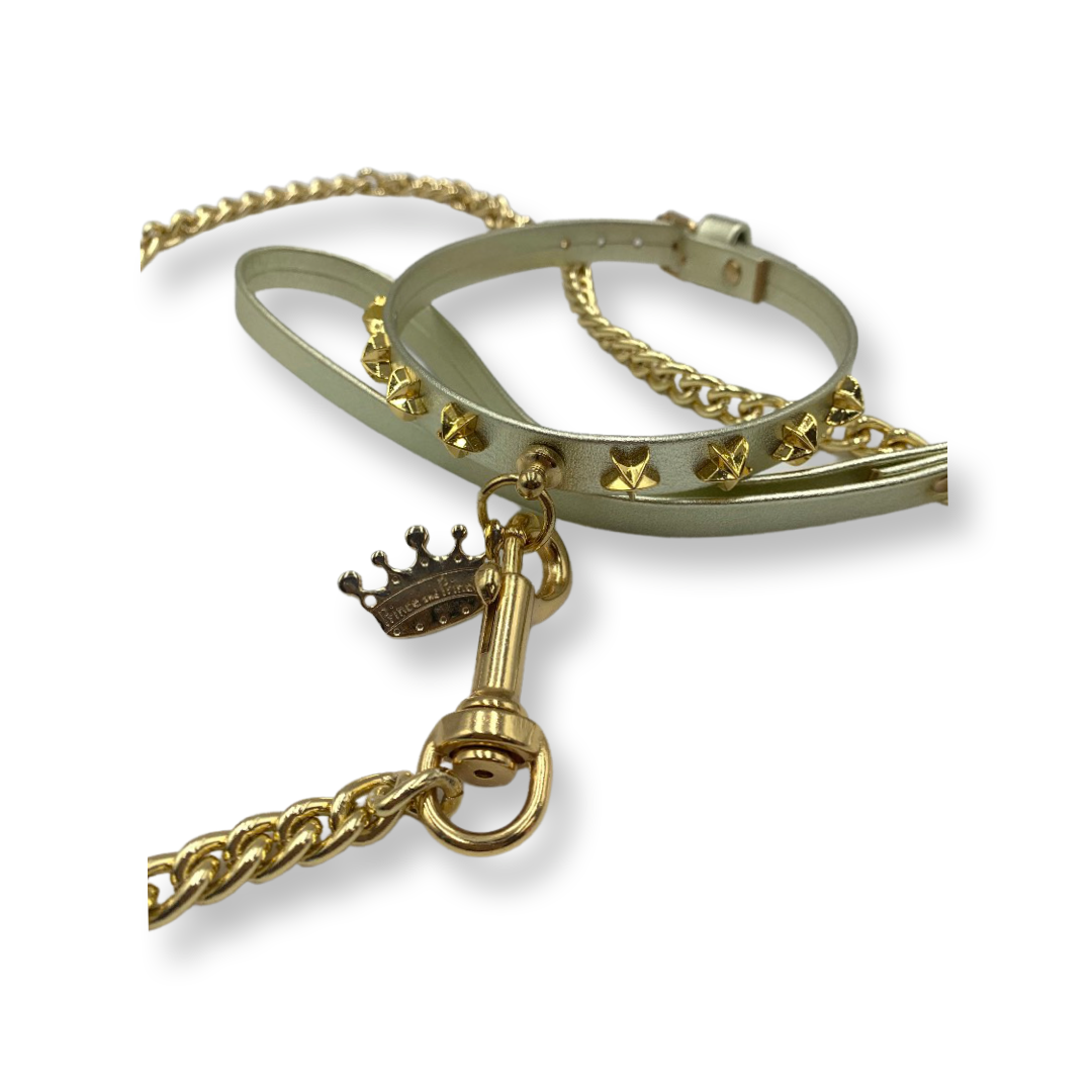 Fashion Collar and Chain Leash Set - Gold with Star Studs