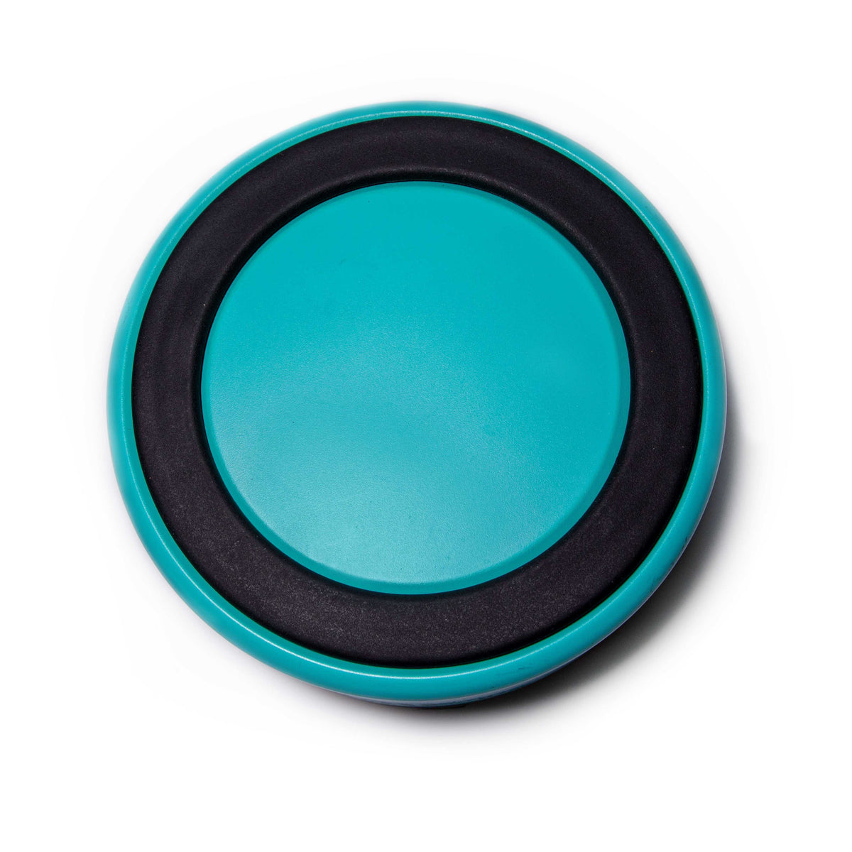 Glow Pups: Aqua Blue Vacuum Insulated Stainless Steel Dog Bowl