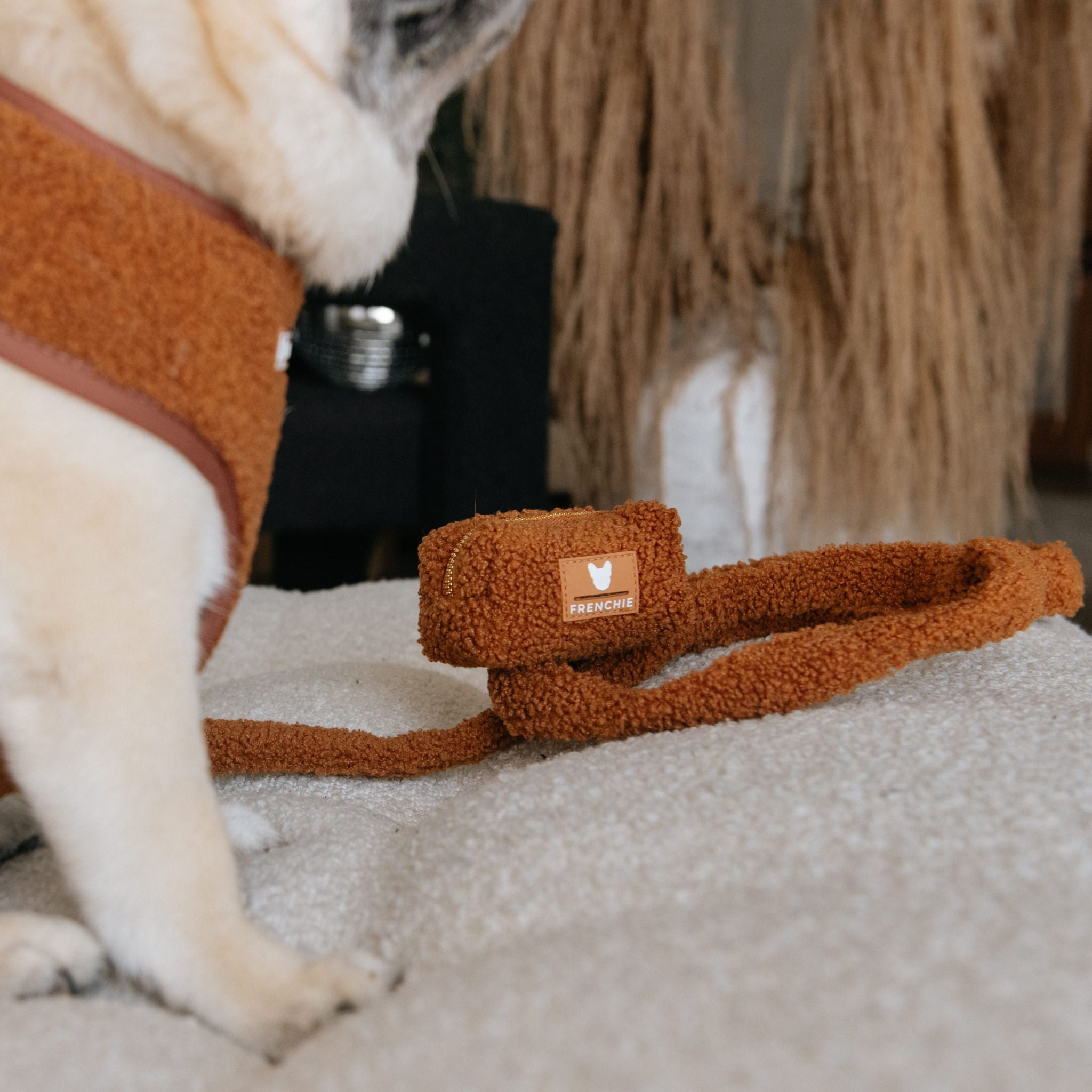 Frenchie Comfort Leash - Teddy Brown