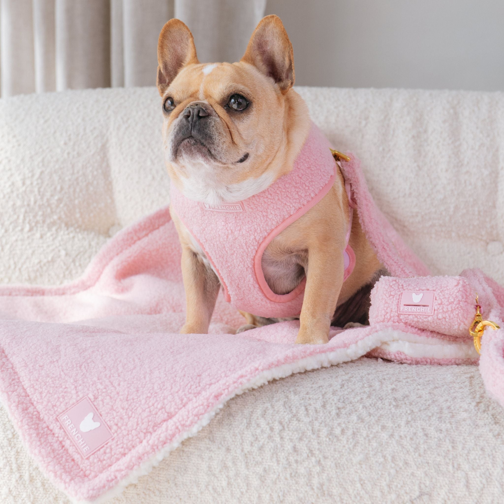 Frenchie Duo Reversible Harness - Teddy Pink