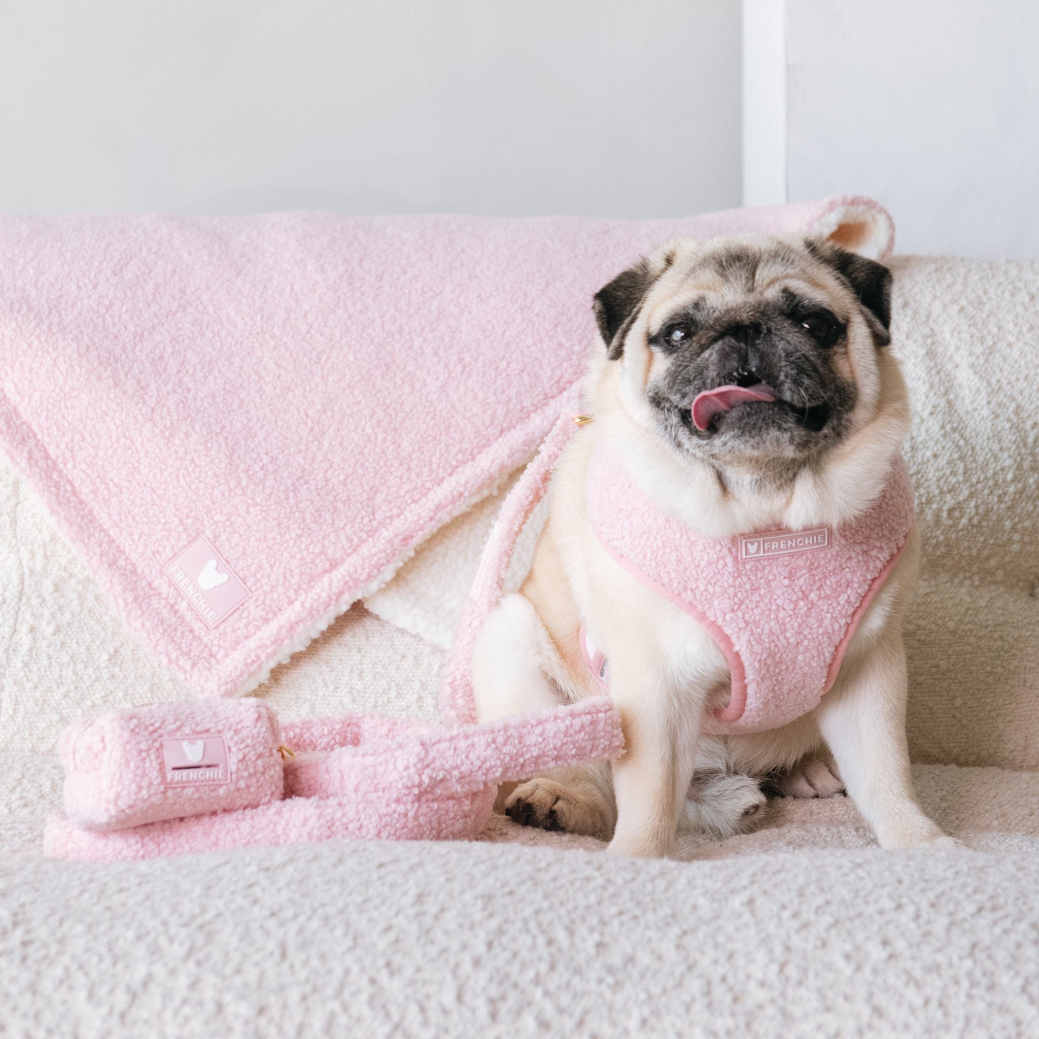 Frenchie Duo Reversible Harness - Teddy Pink