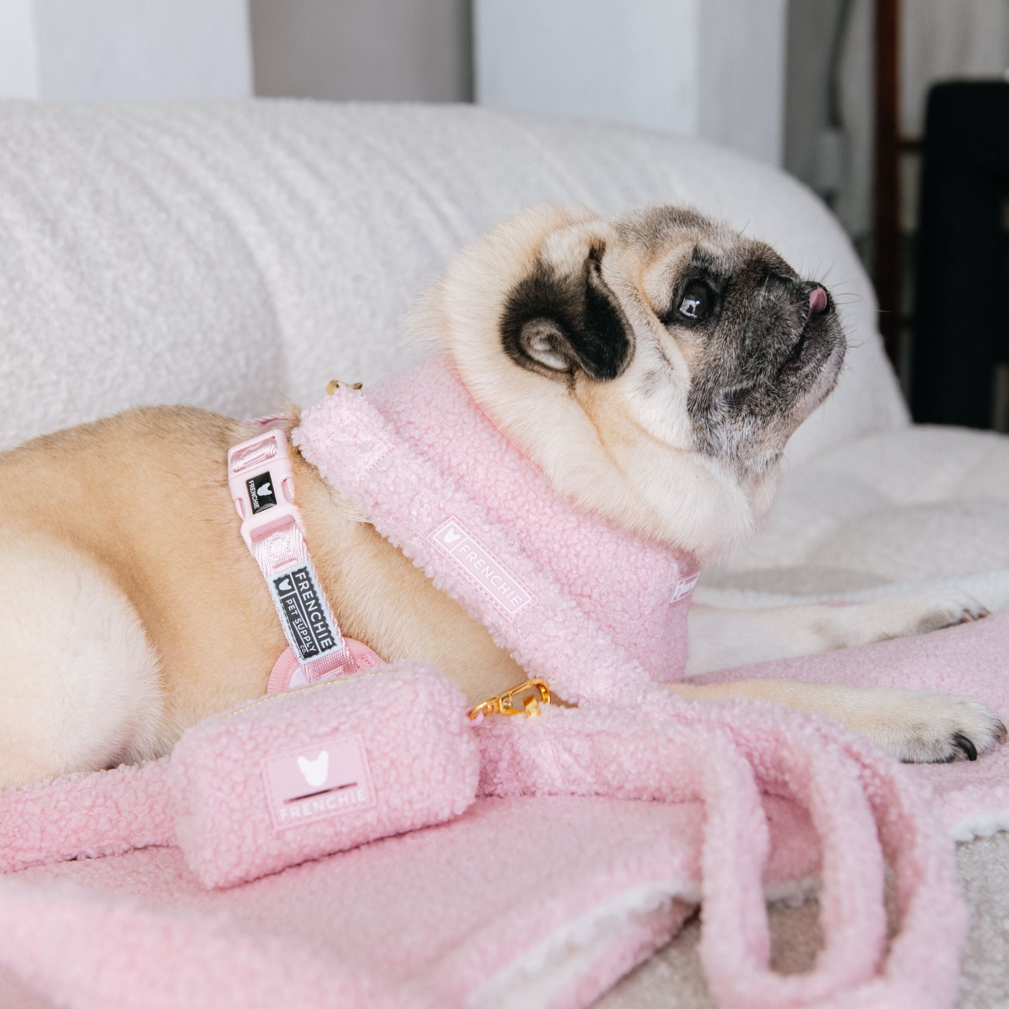 Frenchie Comfort Leash - Teddy Pink