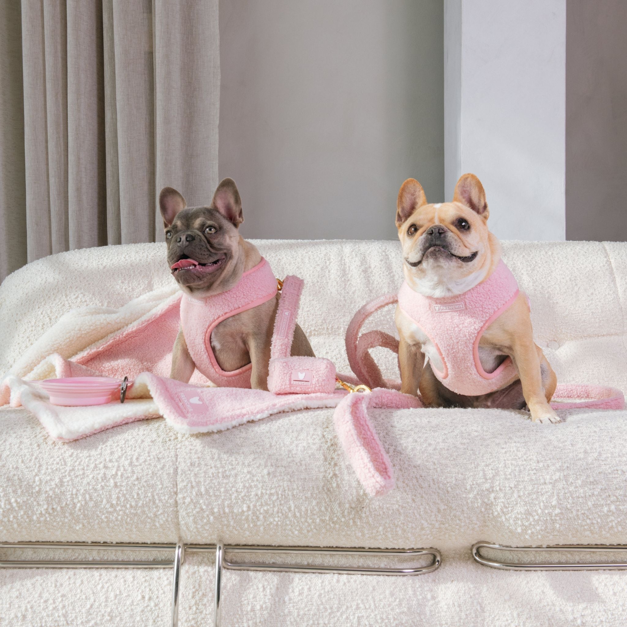 Frenchie Duo Reversible Harness - Teddy Pink