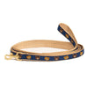 Up Country Teddy Small Breed Dog Leash Made in USA