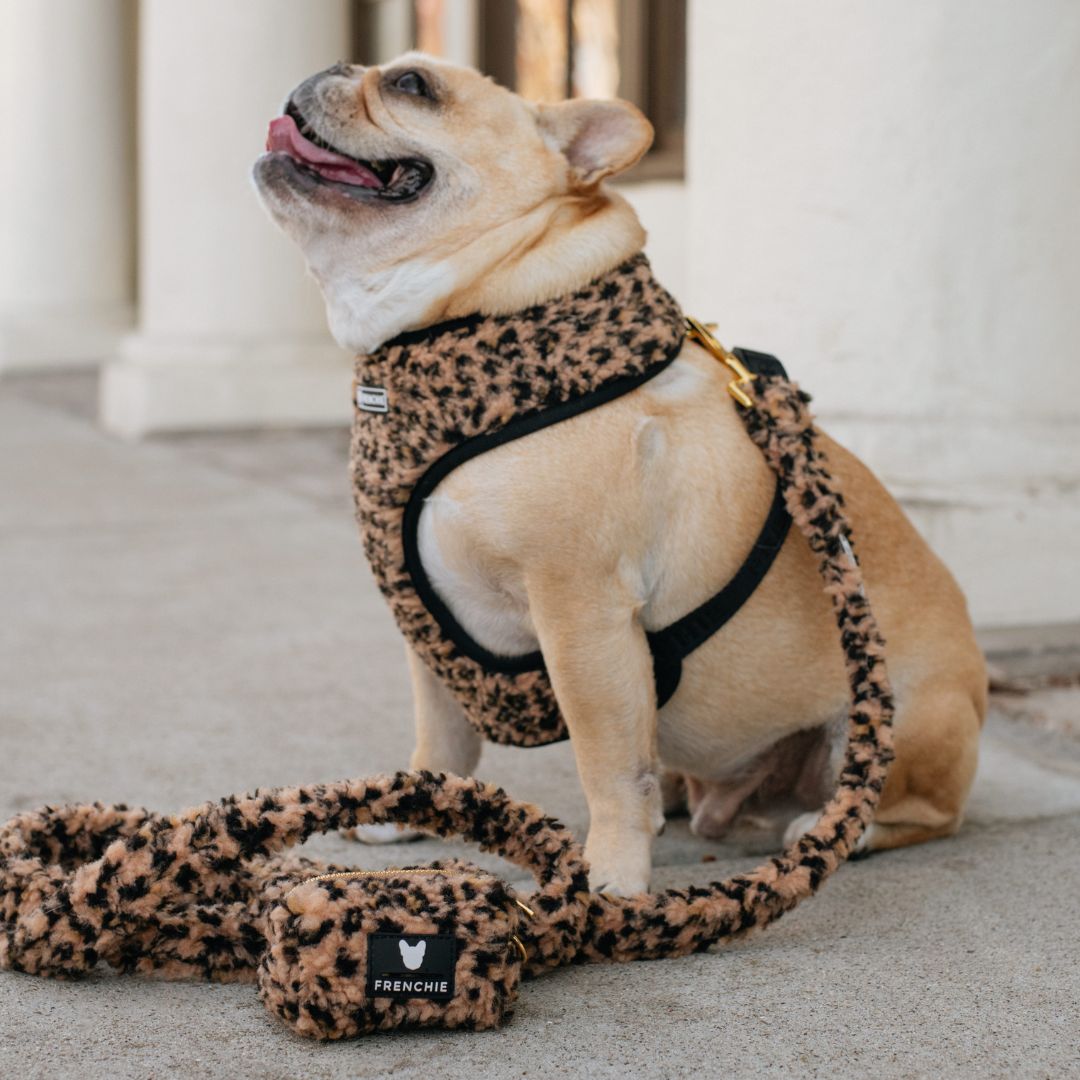 Frenchie Duo Reversible Harness - Teddy Leopard