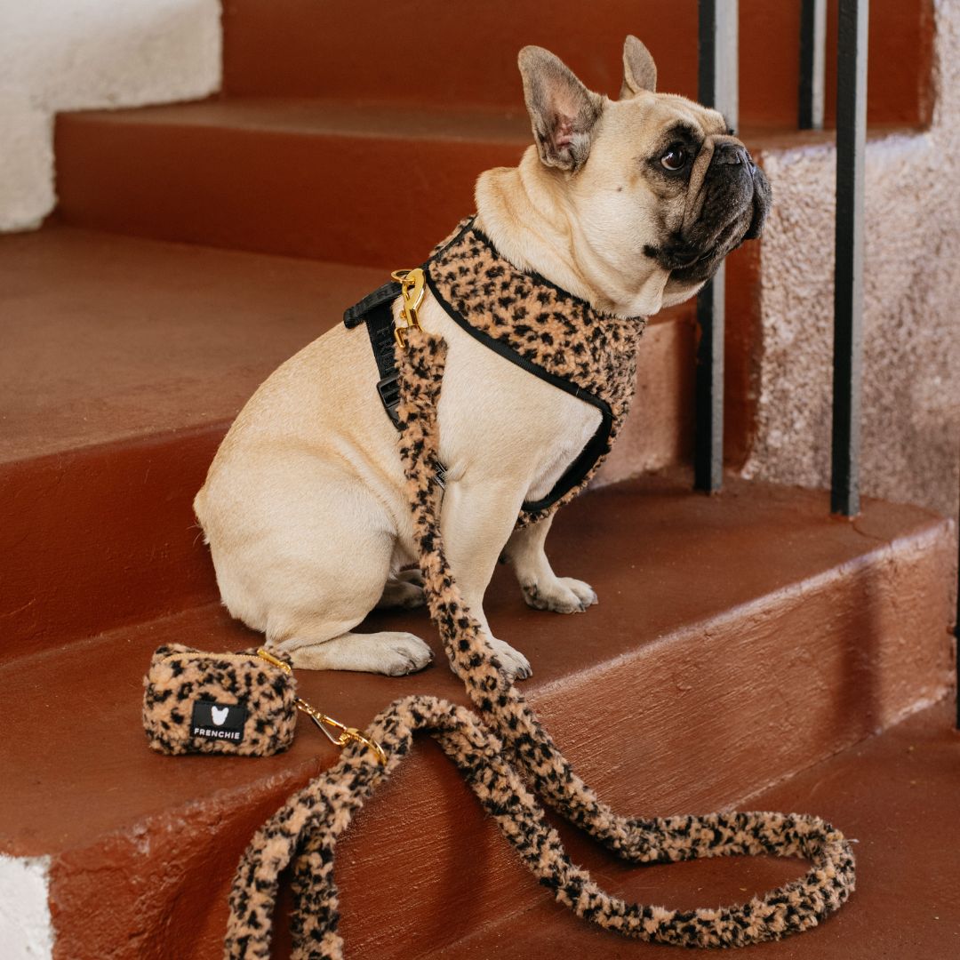 Frenchie Duo Reversible Harness - Teddy Leopard