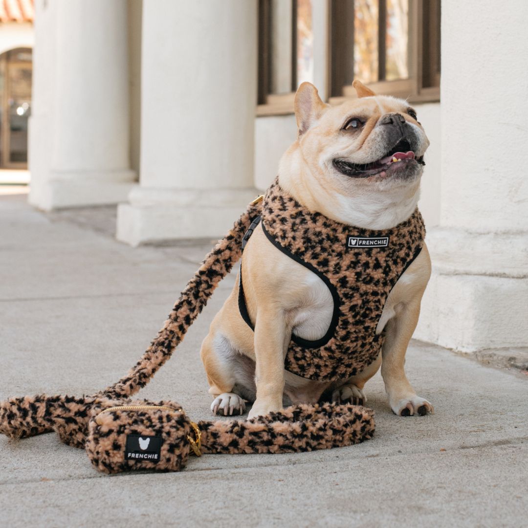 Bulldog Leopard Harness Dog Harness Dog Harnesses Leopard Print