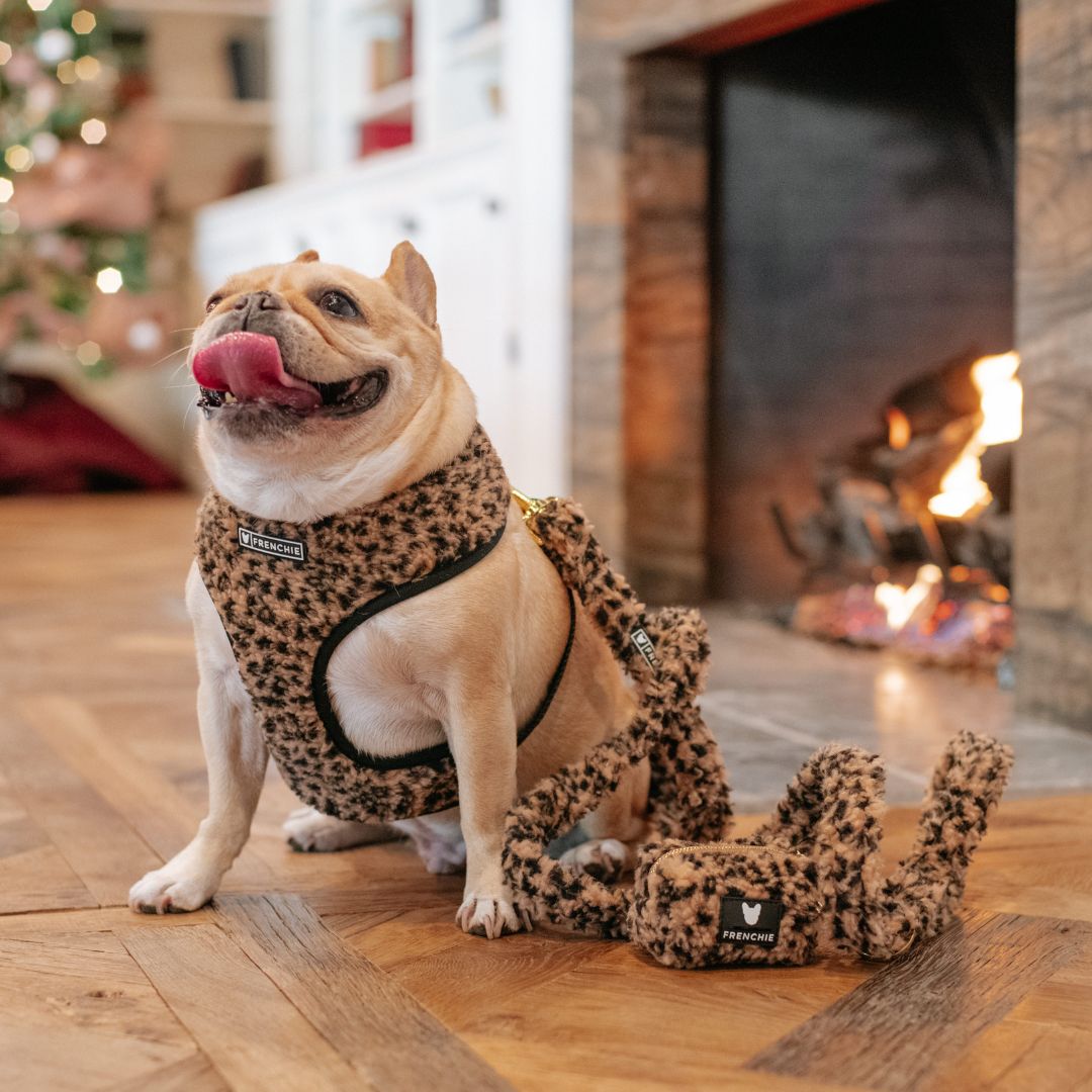 Frenchie Duo Reversible Harness - Teddy Leopard