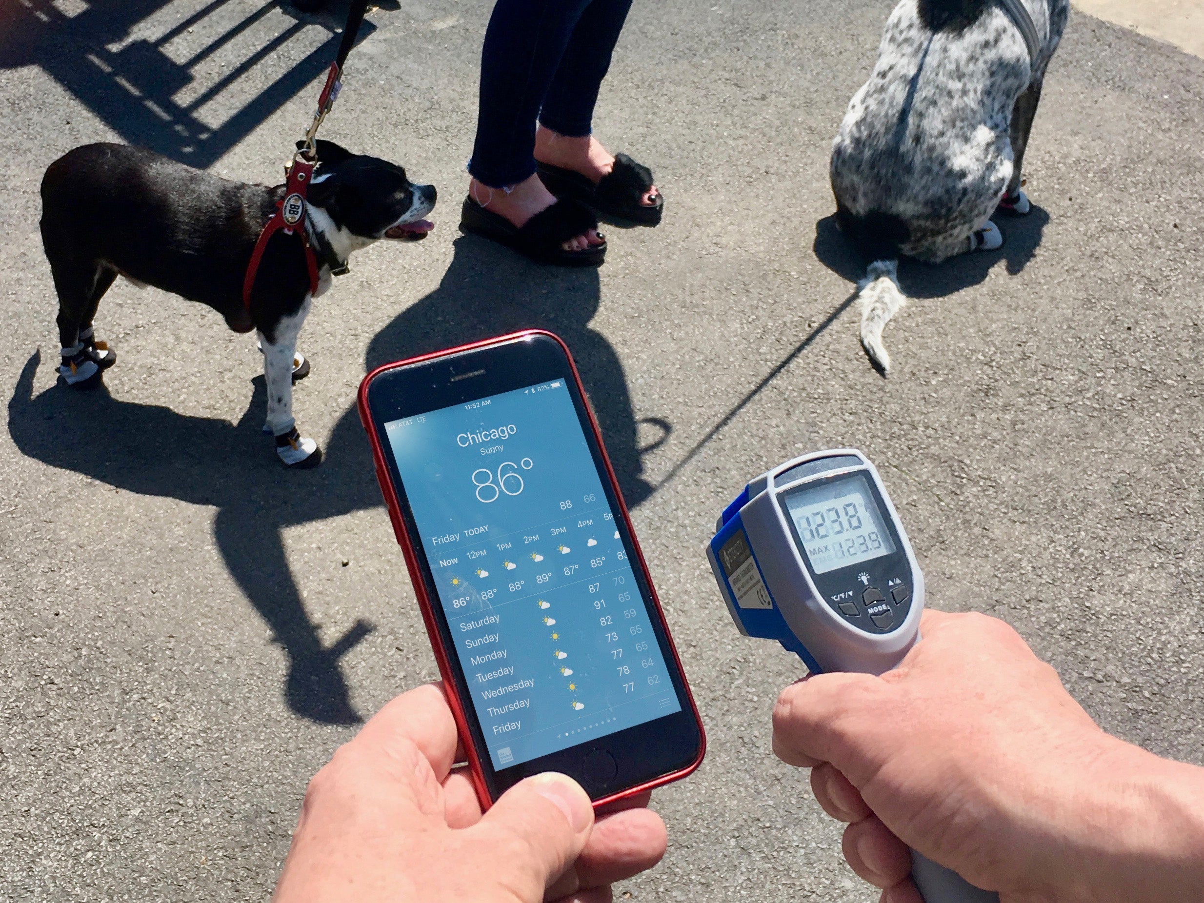 Lavasox / Pink Sorbet