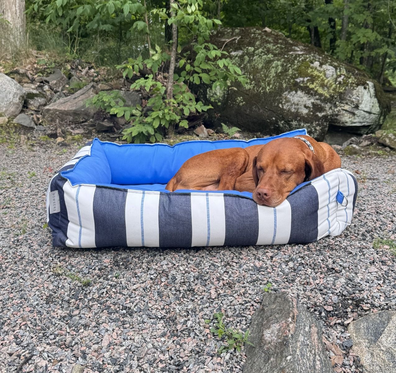 Bowsers Terrace Orthopedic Indoor-Outdoor Dog Bed