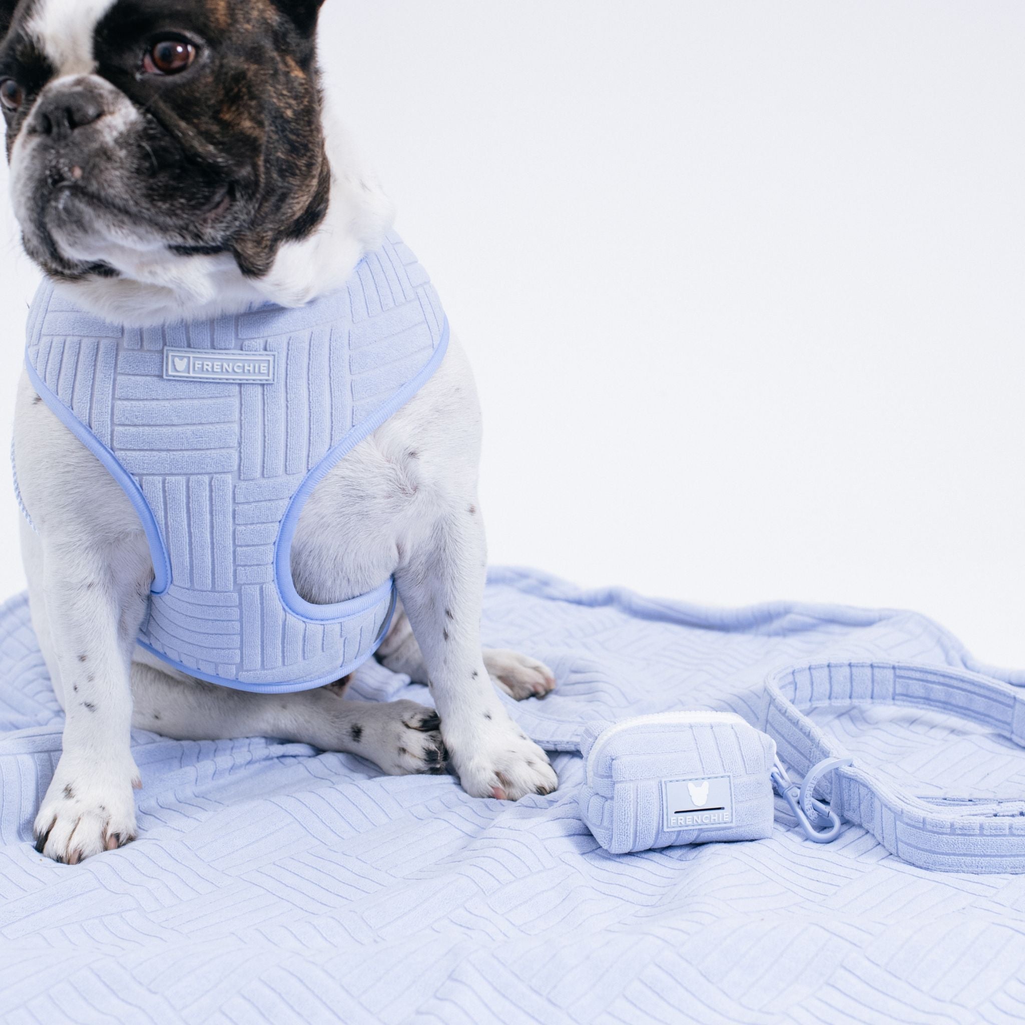 Frenchie Duo Reversible Harness - Terry (Blue)
