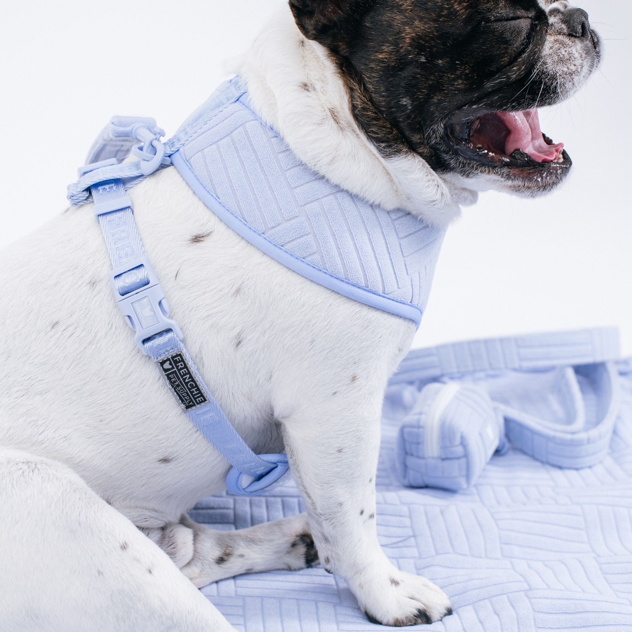 Frenchie Duo Reversible Harness - Terry (Blue)