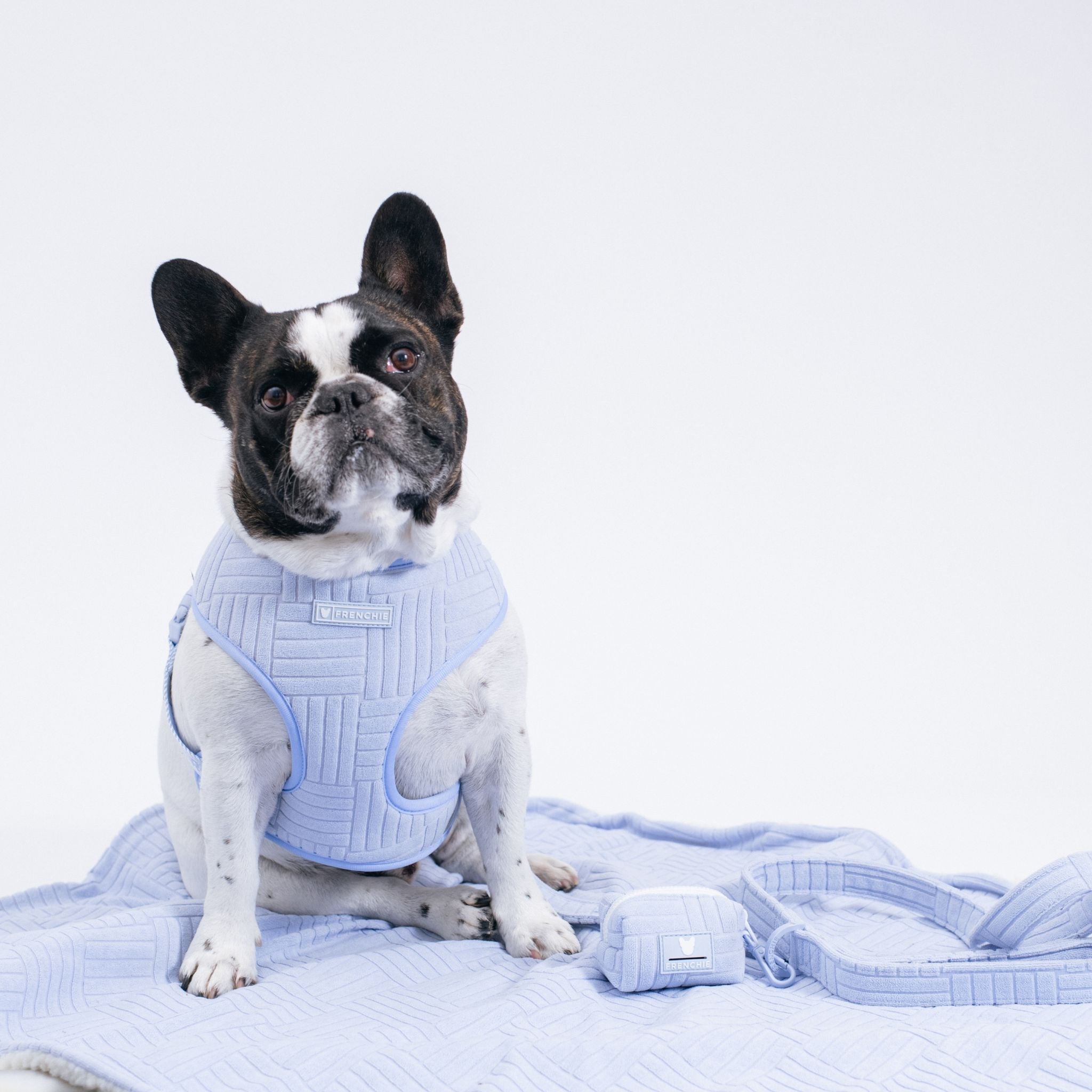 Frenchie Duo Reversible Harness - Terry (Blue)