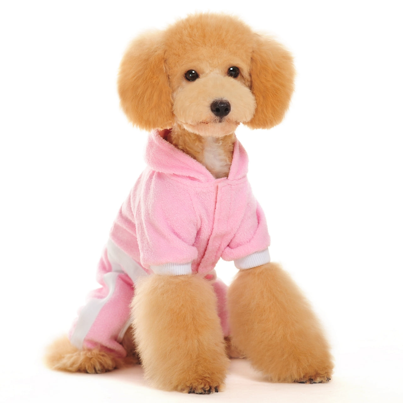 DOGO Terry Dog Hoodie Jumper