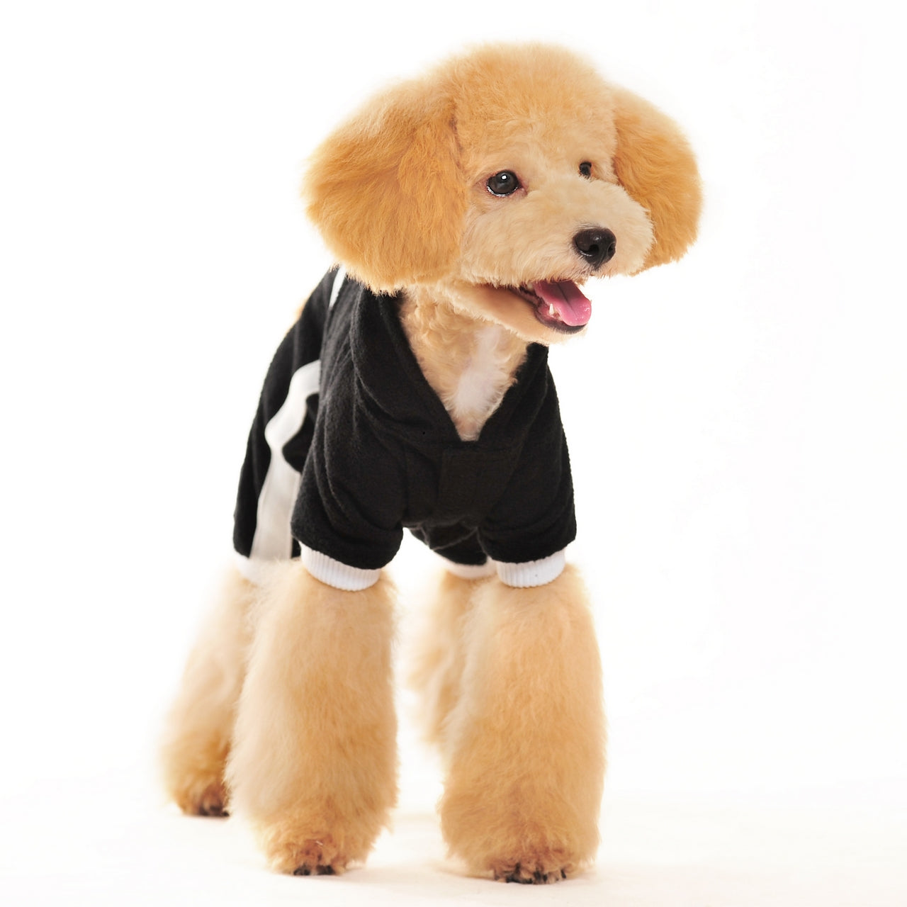 DOGO Terry Dog Hoodie Jumper
