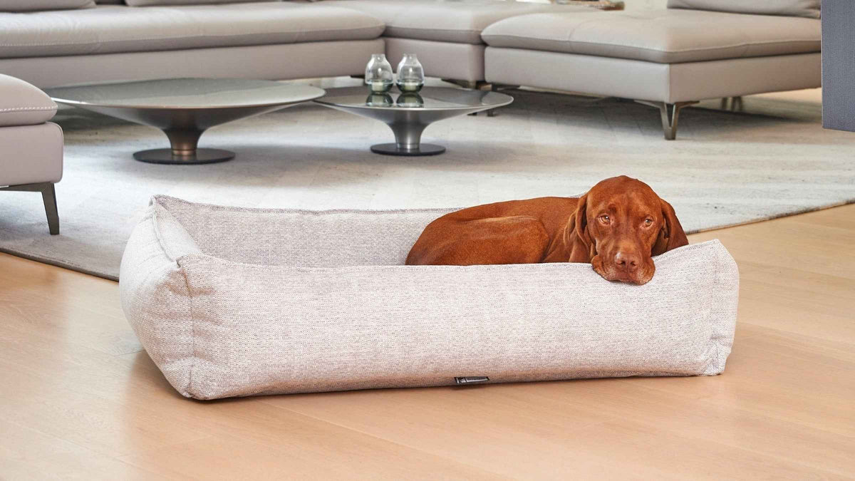 Bowsers Urban Lounger Orthopedic Dog Bed - Sleek One-Piece Design