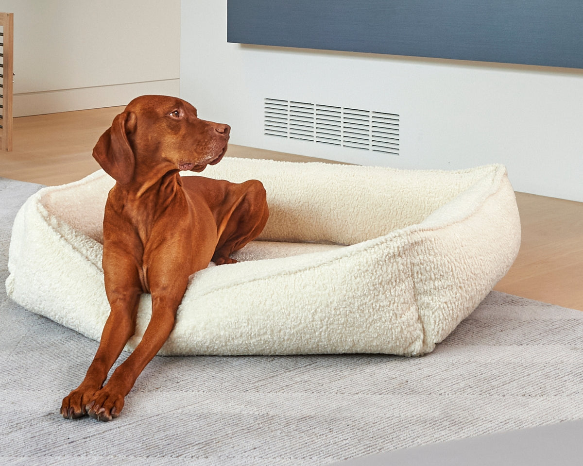 Bowsers Urban Lounger Orthopedic Dog Bed - Sleek One-Piece Design