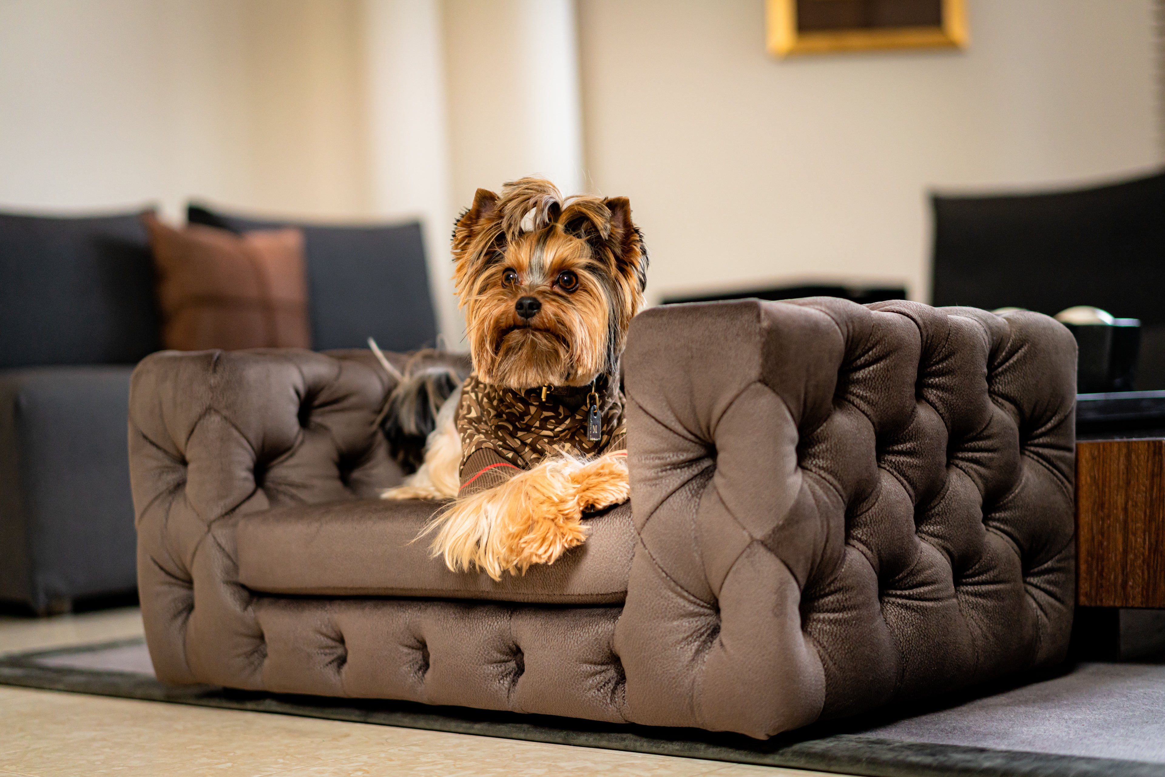 The Glamour Luxury Pet Bed in Beige