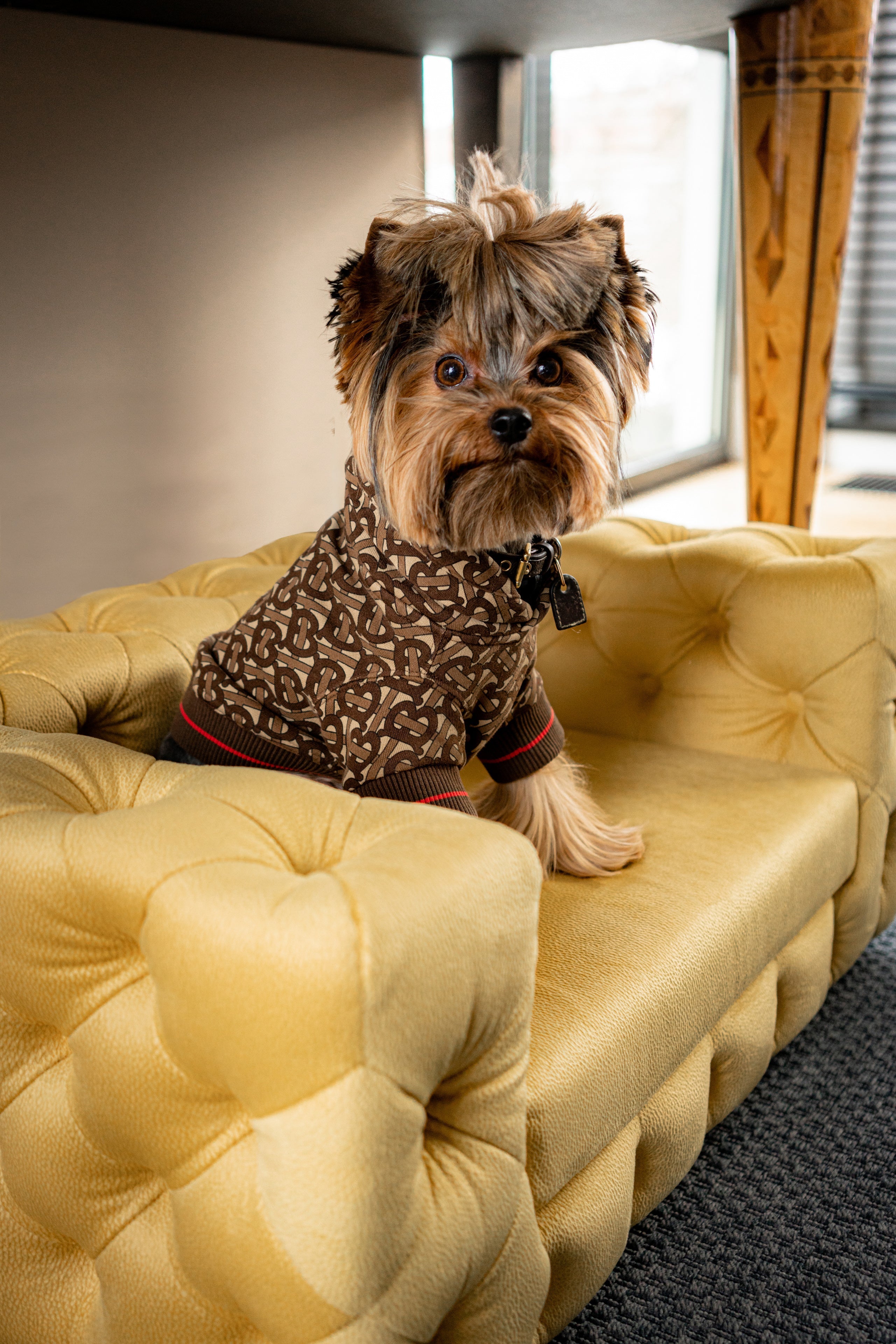 The Glamour Luxury Pet Bed in Beige