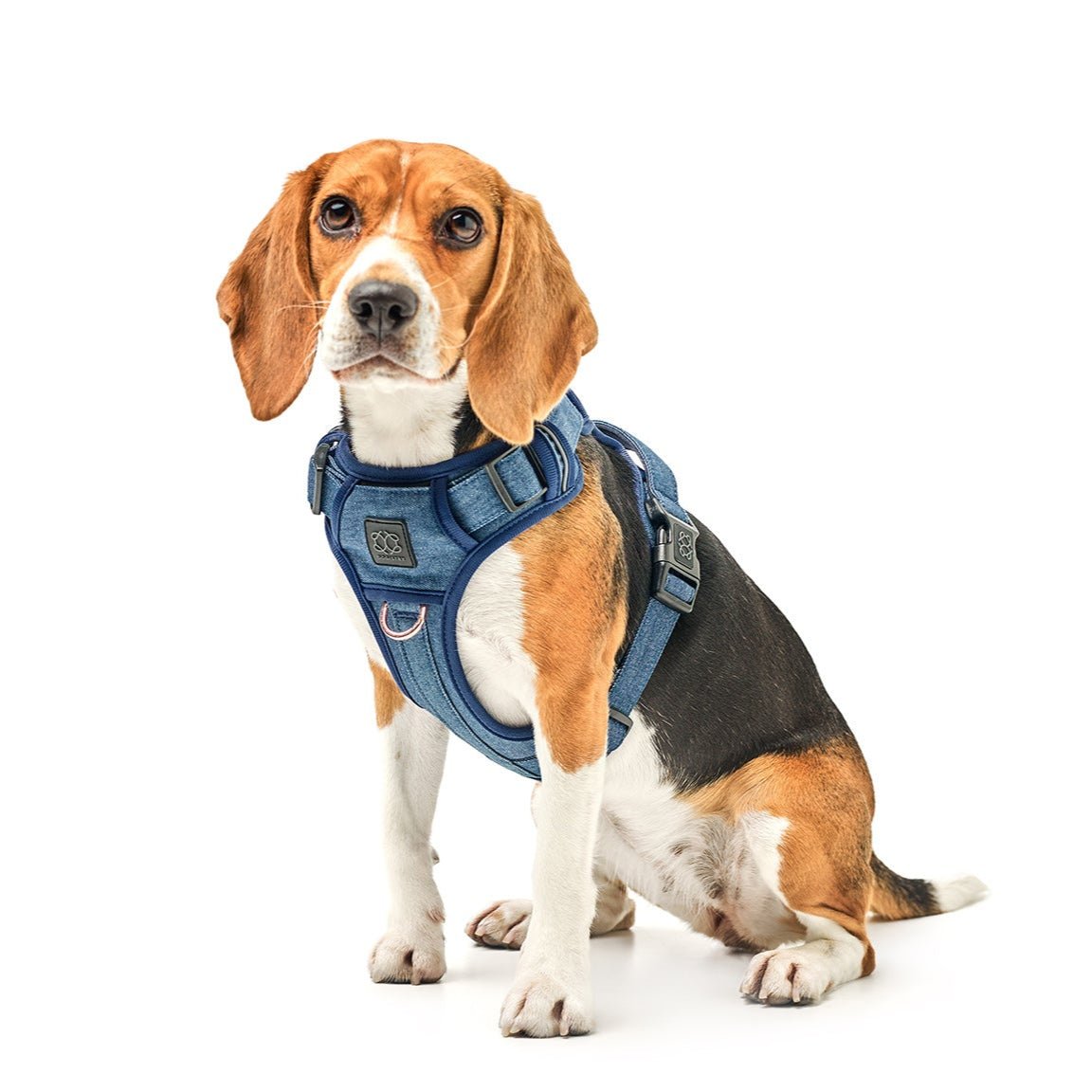 DOGISTRY NoMad Adjustable Luxe Harness - Denim
