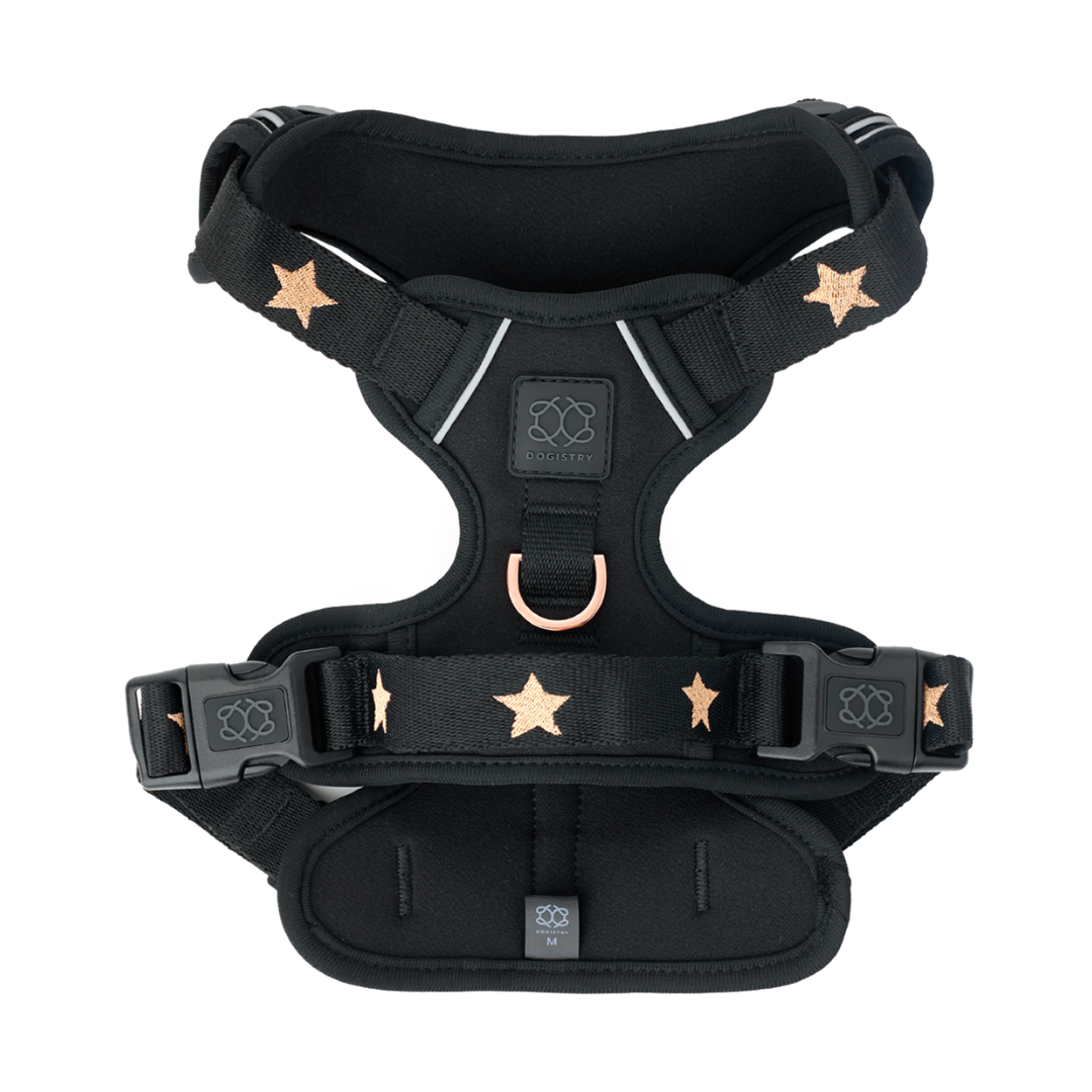 The NoMad Adjustable Luxe Harness - Rockstar