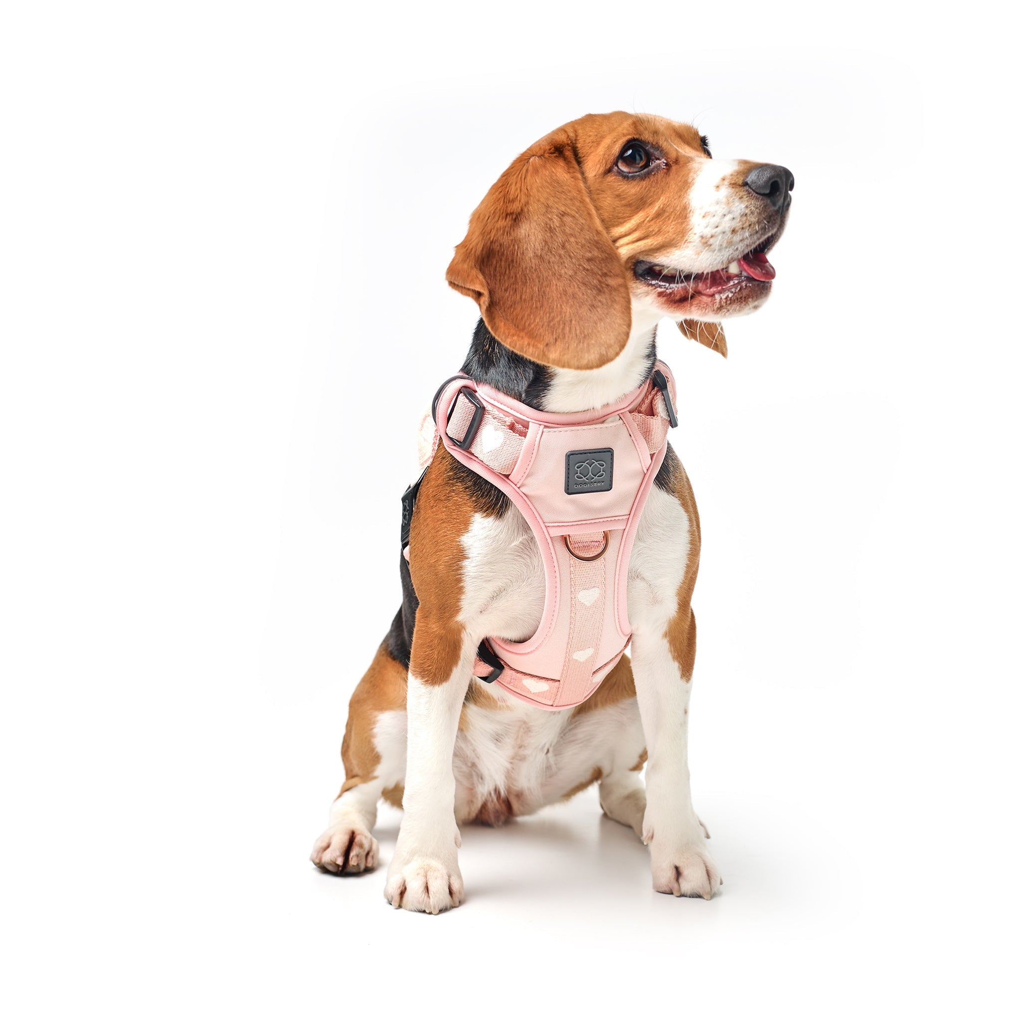 The NoMad Adjustable Luxe Harness - Sweetheart