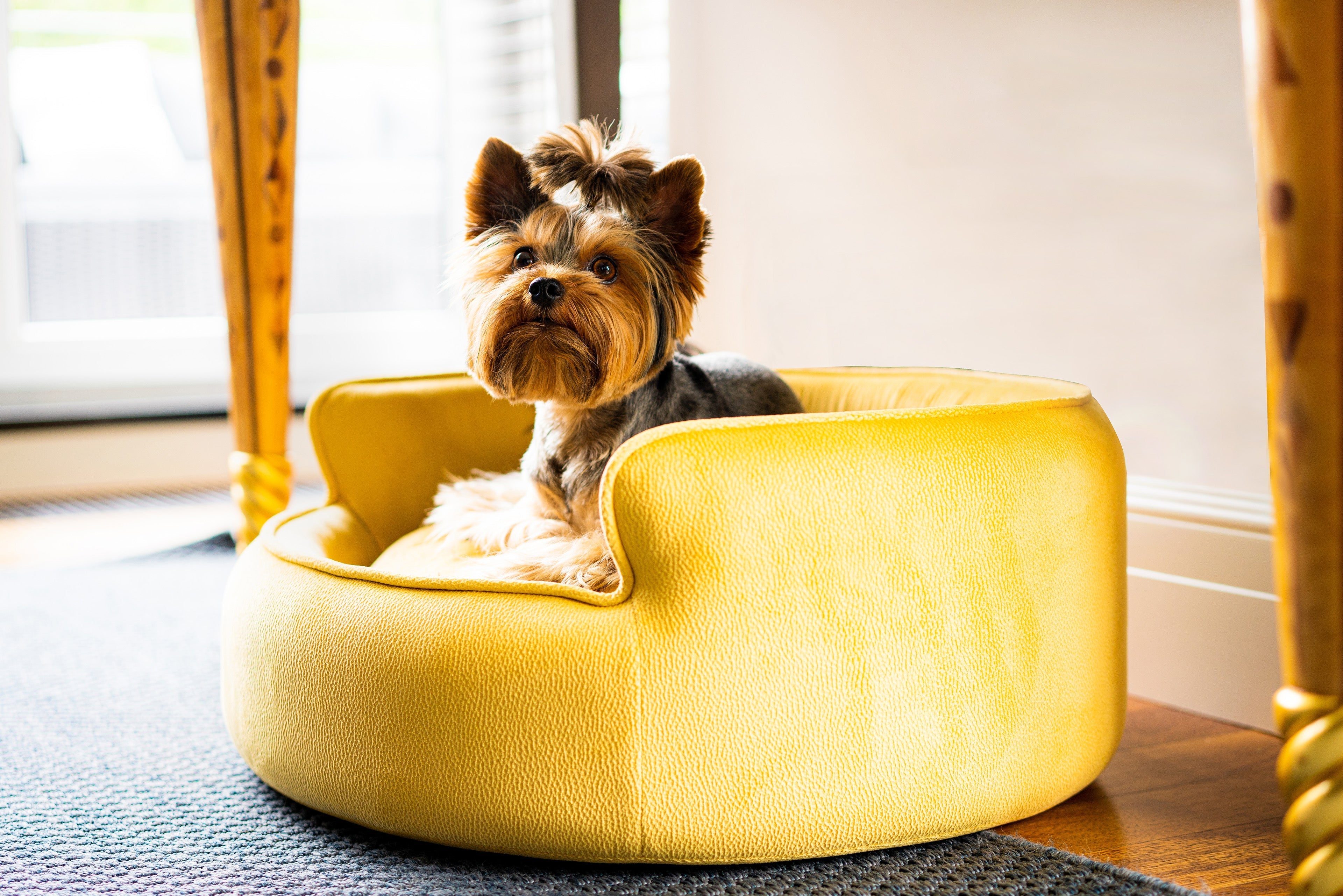 The Yin & Yang Luxury Pet Bed in Beige