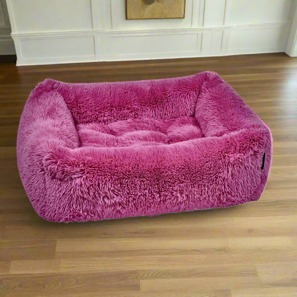 The Franklin-Cherry Blossom