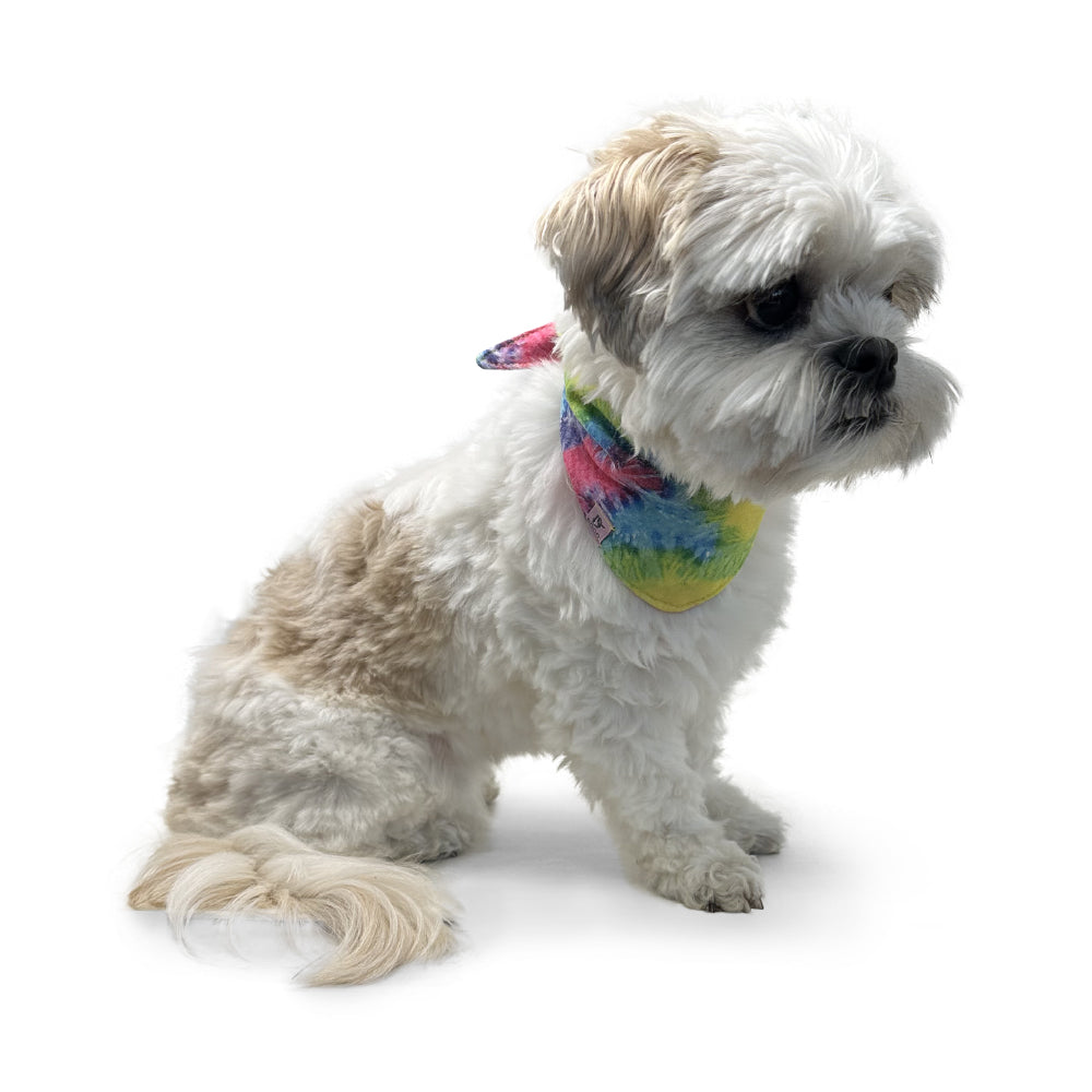 DOGO Tie Dye Dog Bandana