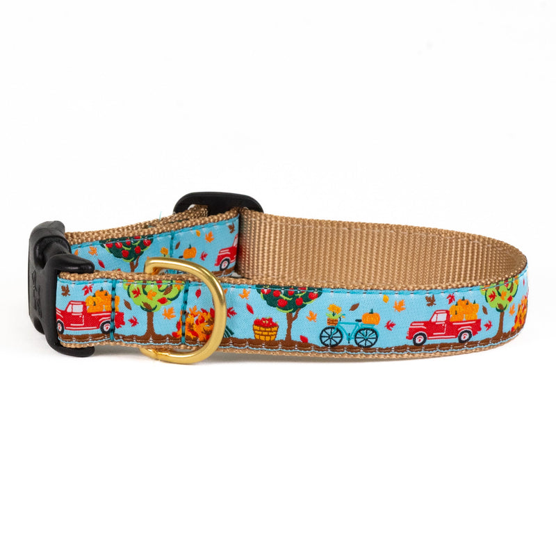 To the Orchard Narrow Dog Collar