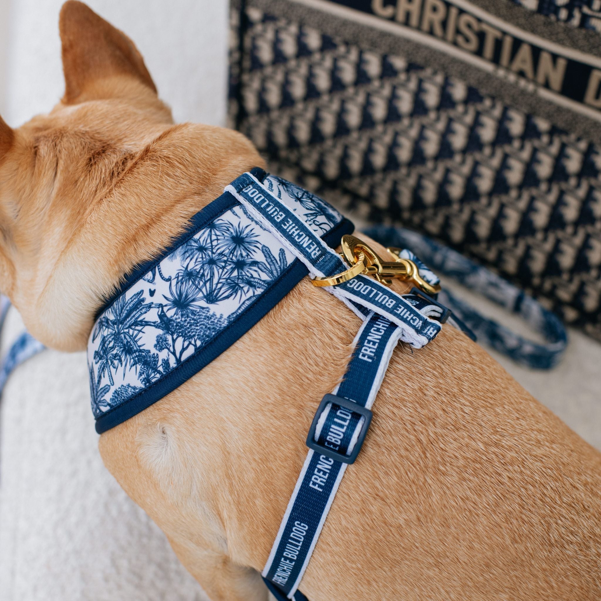 Frenchie Duo Reversible Harness - Toile (Blue)