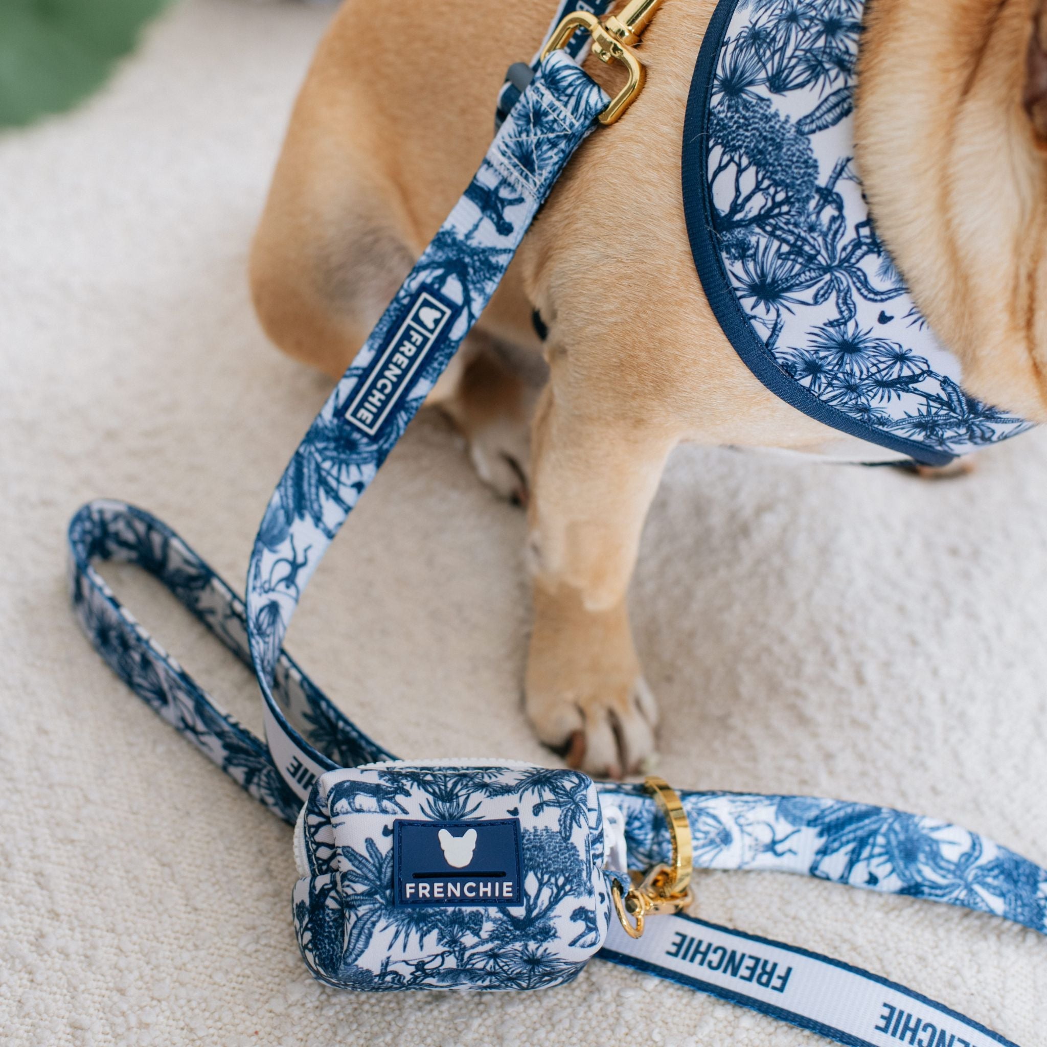 Frenchie Comfort Leash - Toile (Blue)