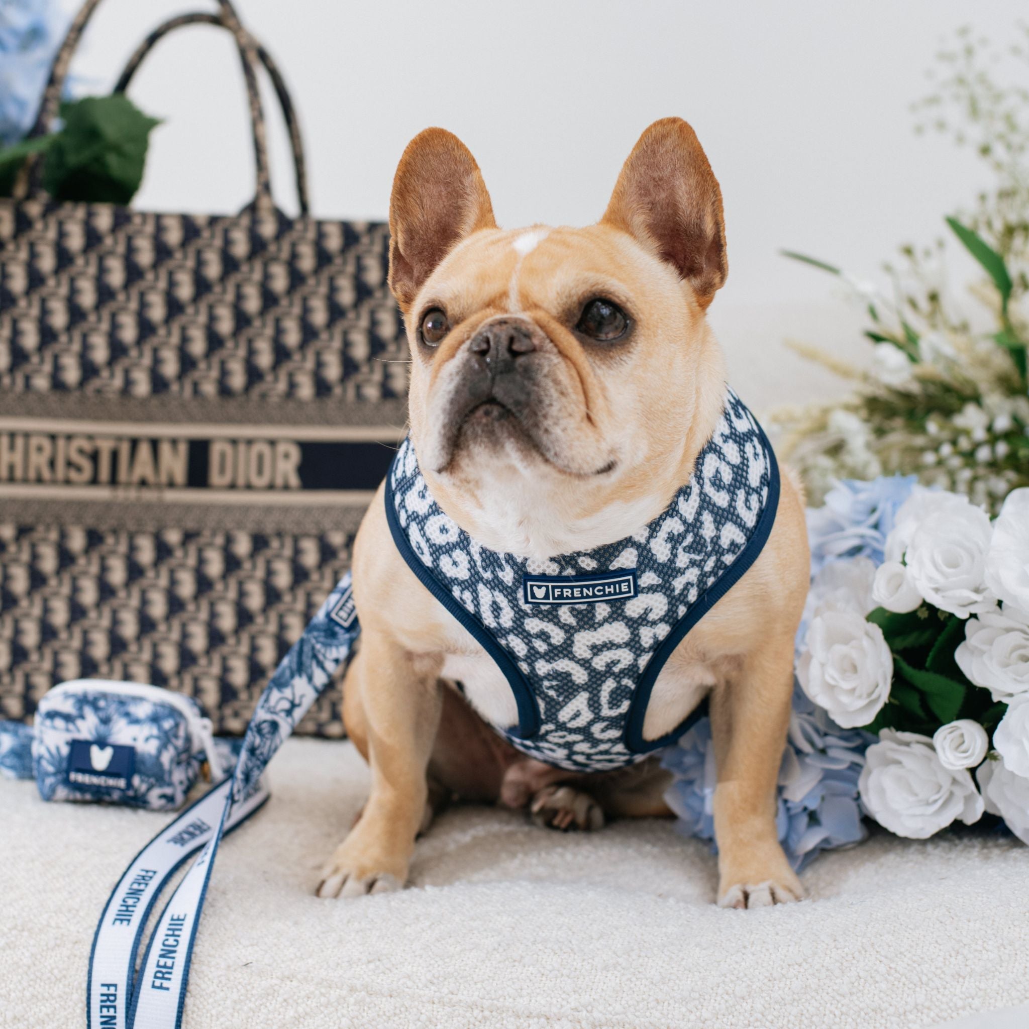 Frenchie Poo Bag Holder - Toile (Blue)