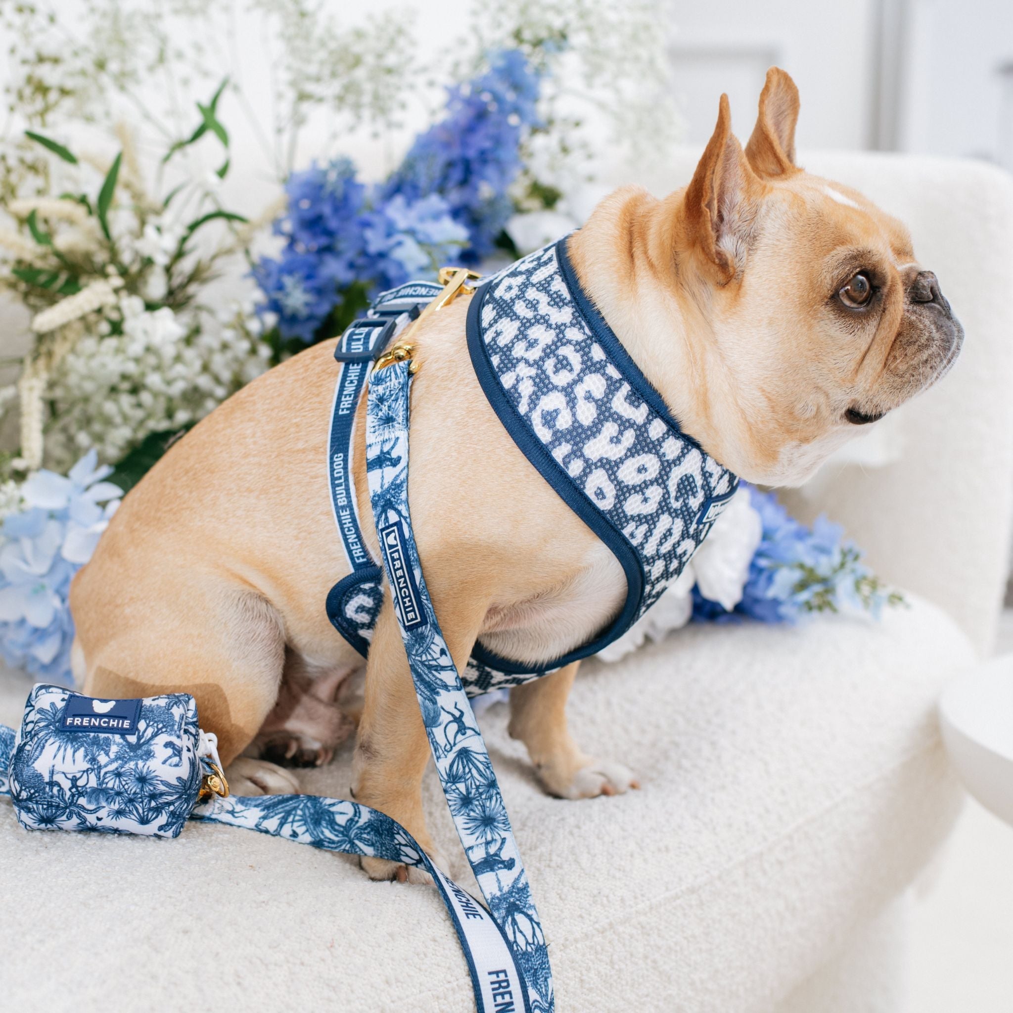 Frenchie Duo Reversible Harness - Toile (Blue)