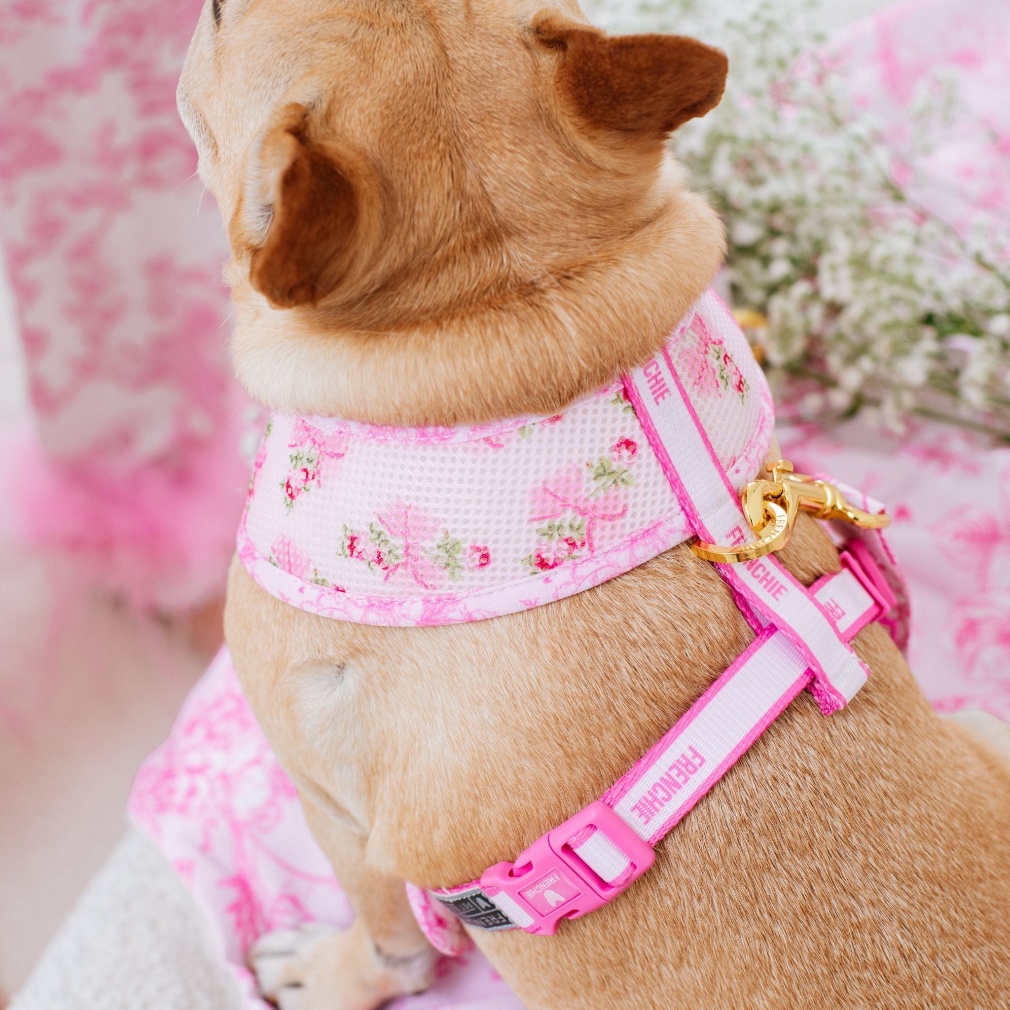 Frenchie Duo Reversible Harness - Toile (Pink)