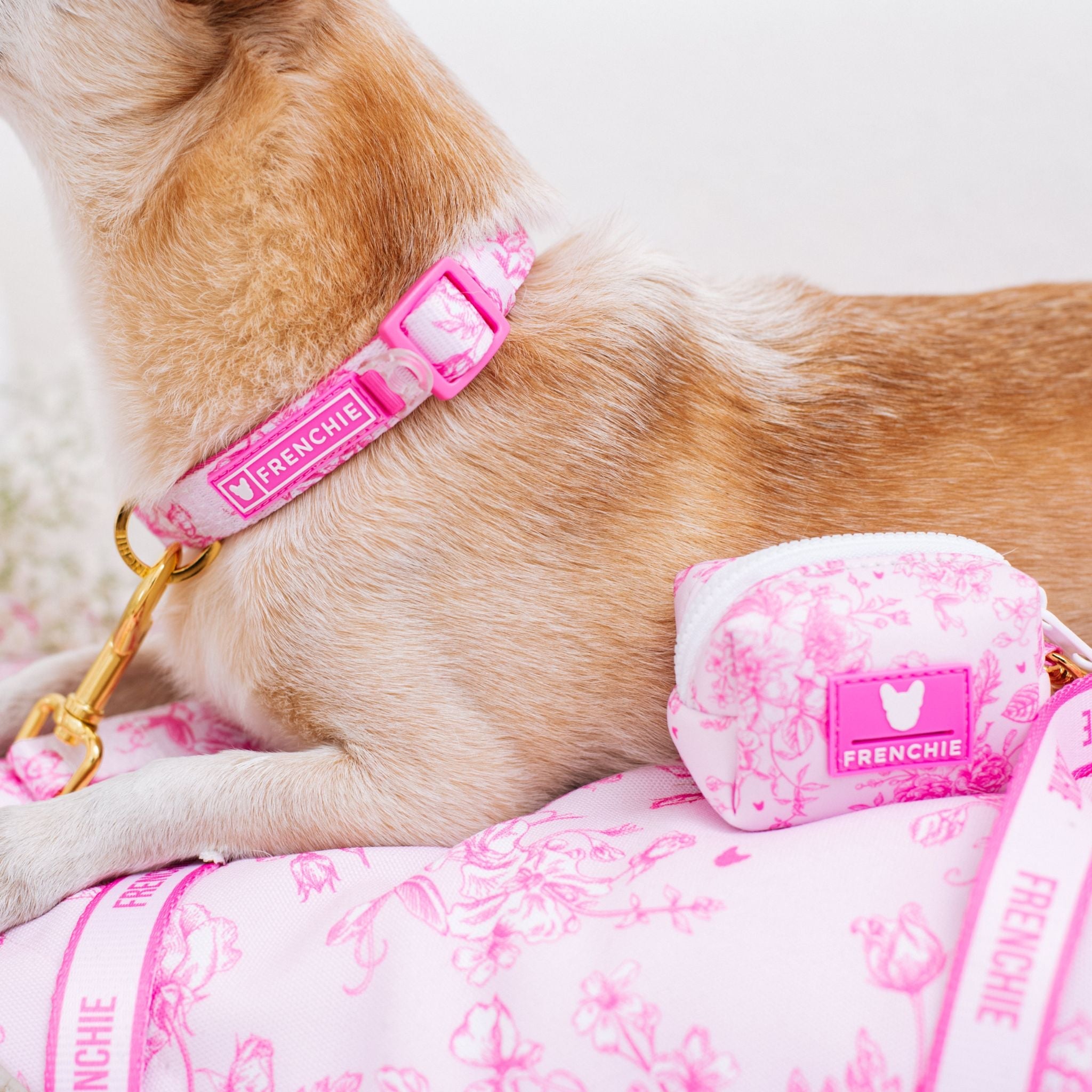 Frenchie Poo Bag Holder - Toile (Pink)