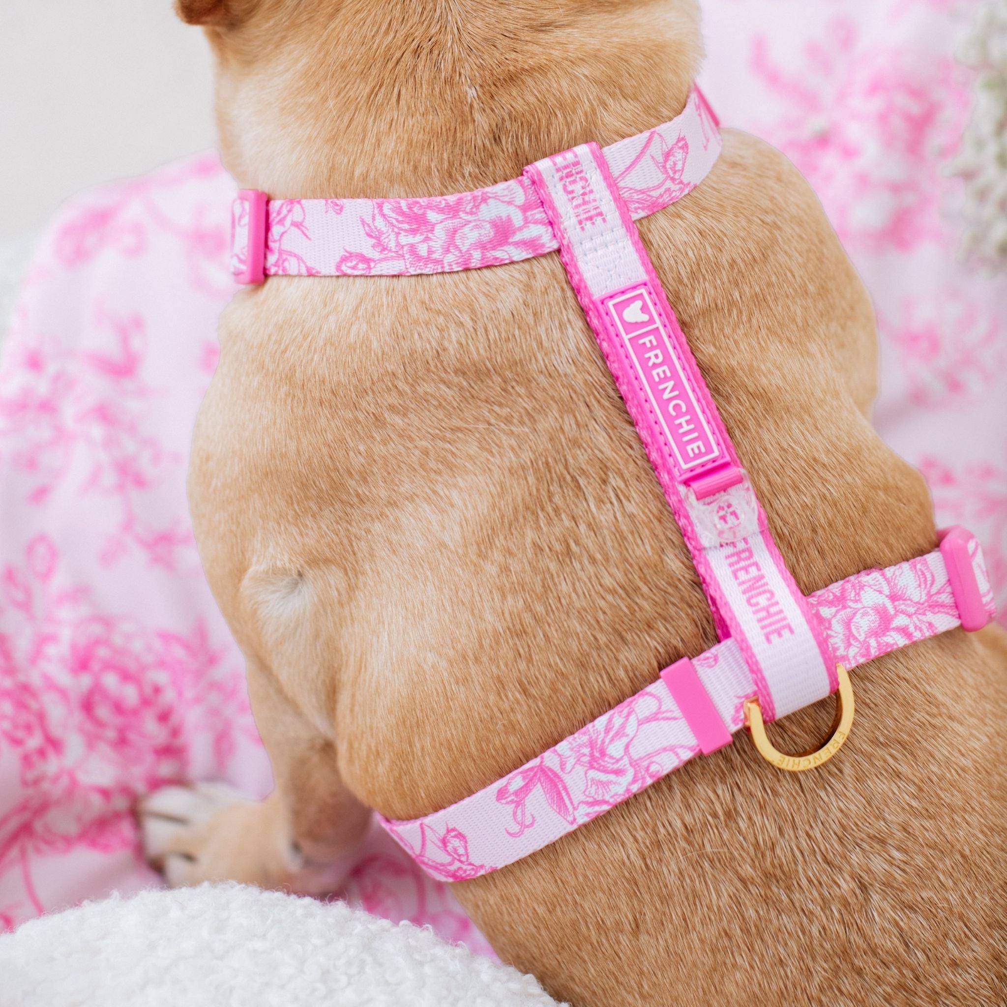 Frenchie Strap Harness - Toile (Pink)