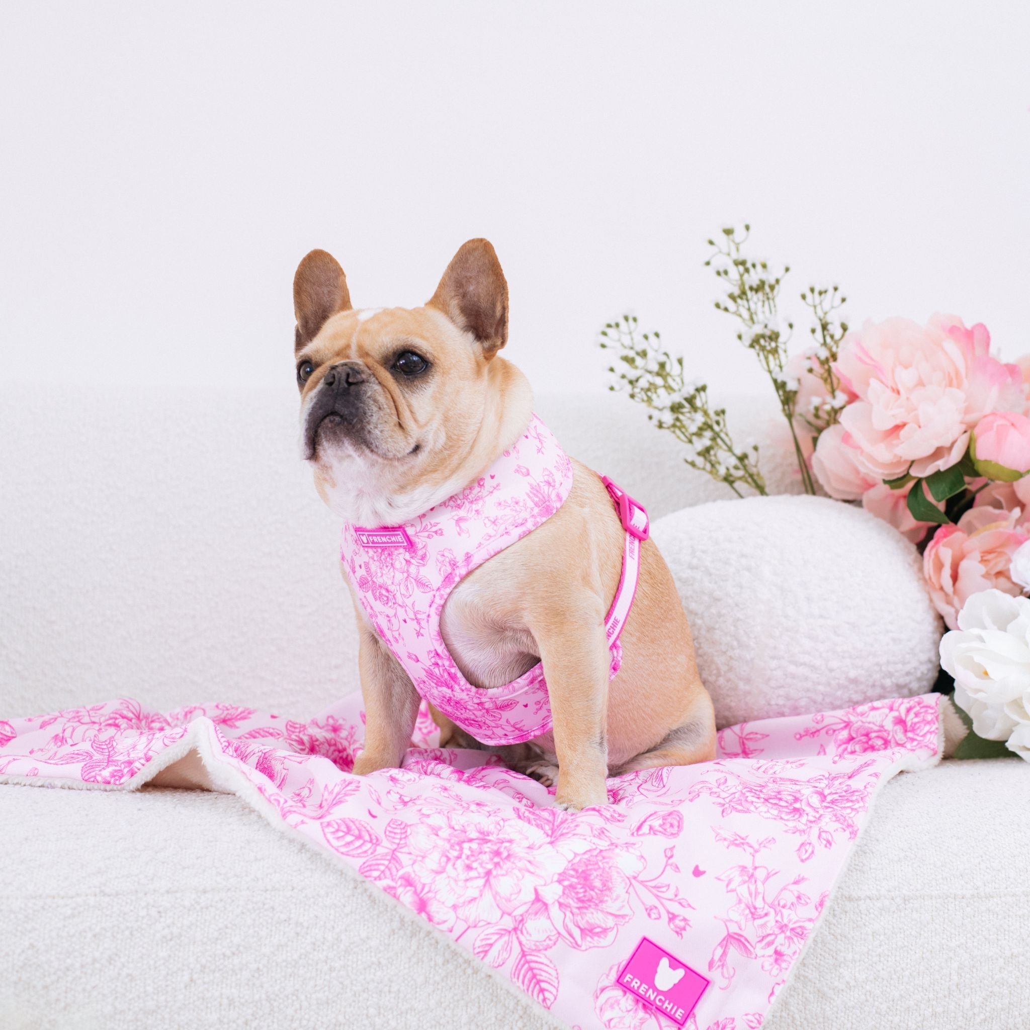 Frenchie Duo Reversible Harness - Toile (Pink)