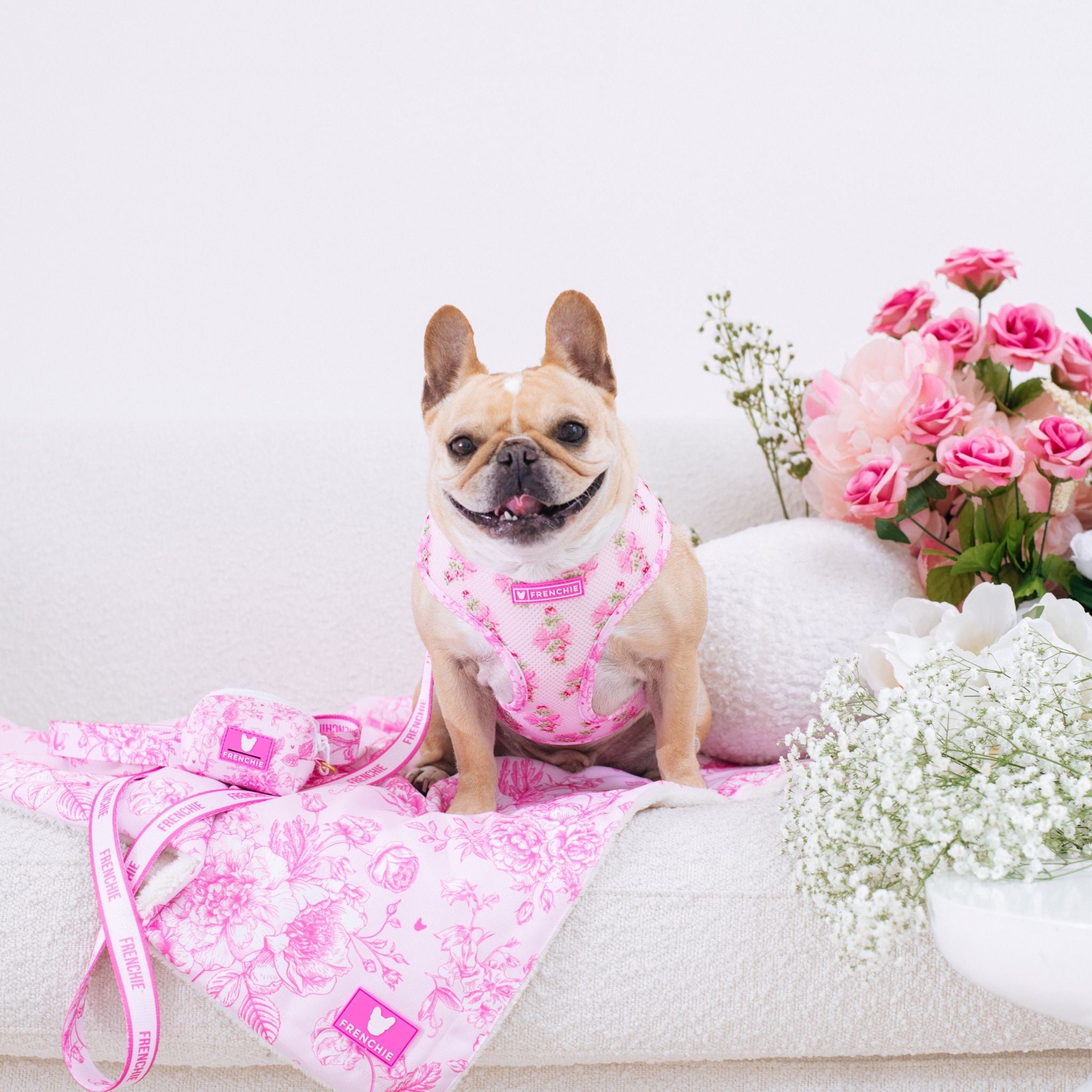 Frenchie Duo Reversible Harness - Toile (Pink)