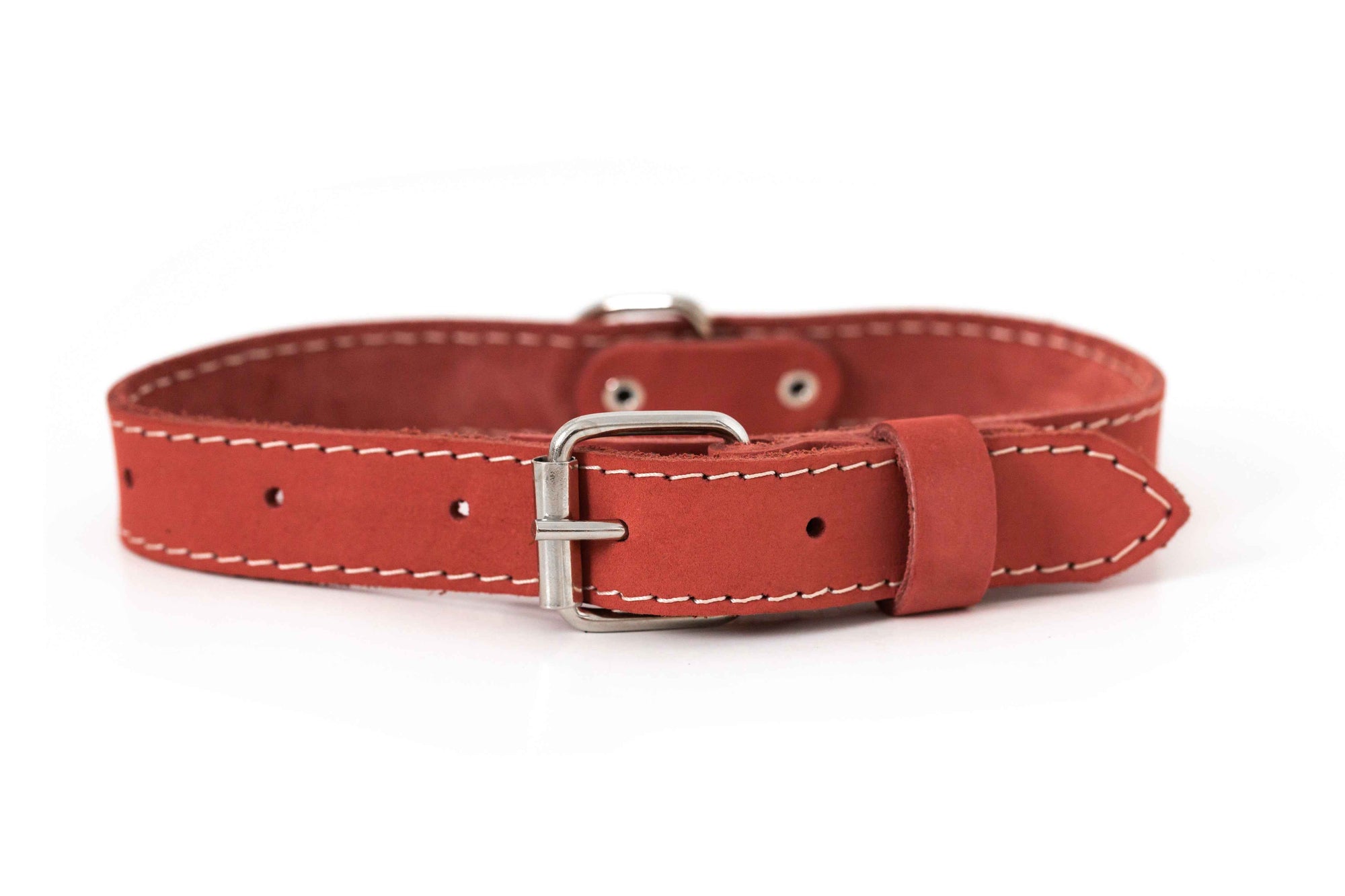 Euro-Dog Pro Line Leather Hunting Dog Collar