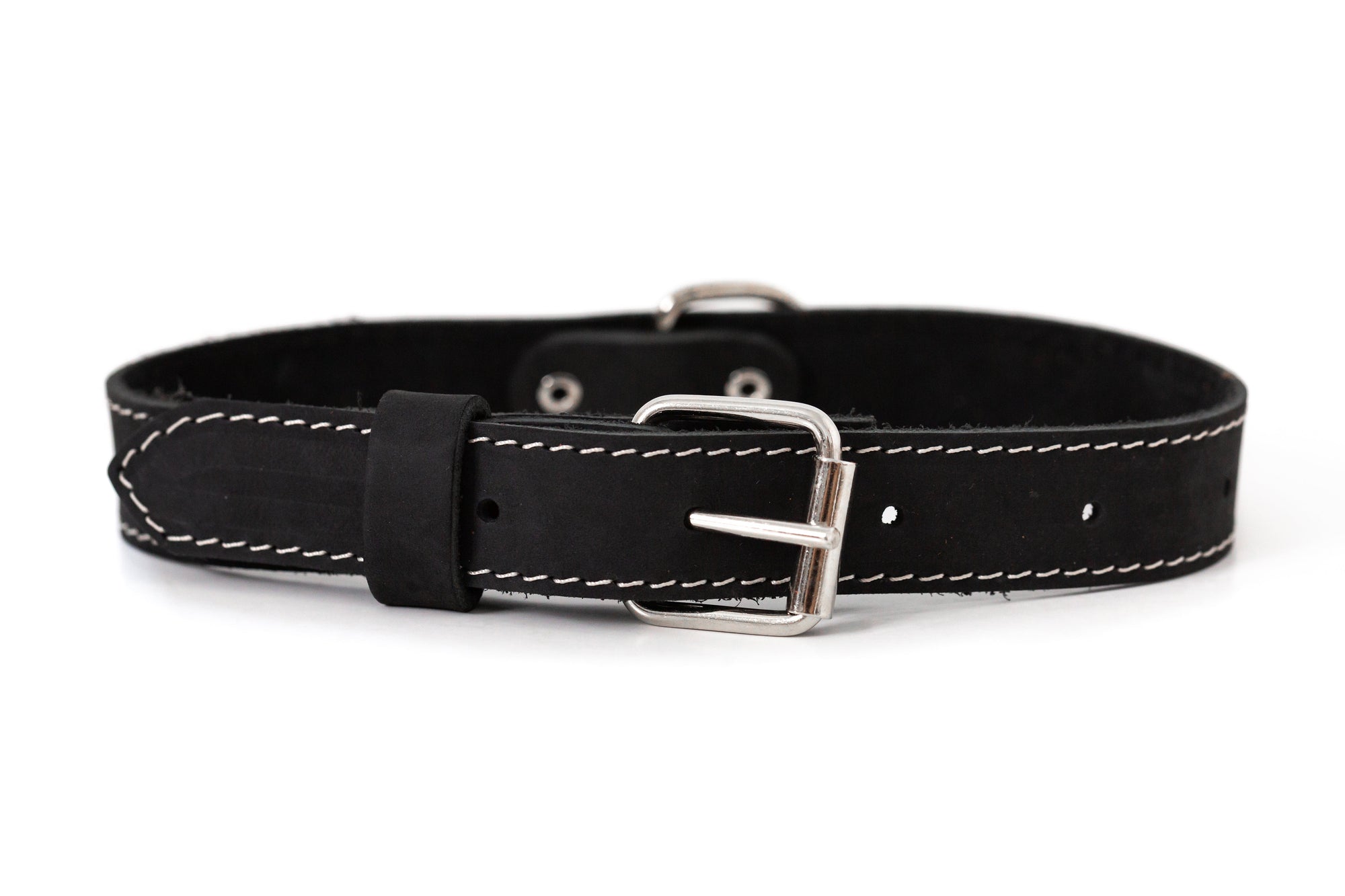Euro-Dog Pro Line Leather Hunting Dog Collar