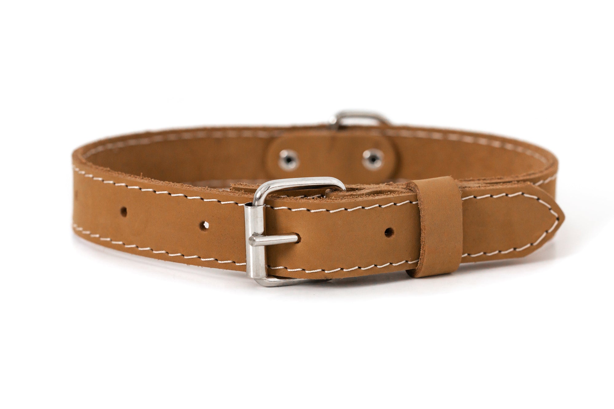 Euro-Dog Pro Line Leather Hunting Dog Collar