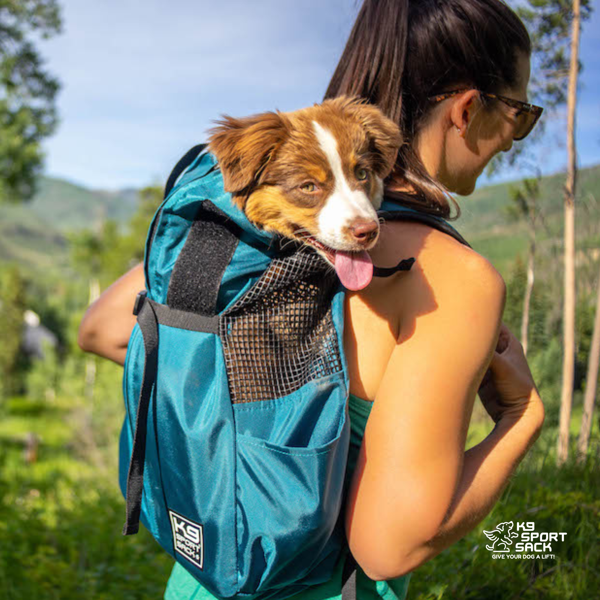 Trainer | Puppy & Small Dog Carrier