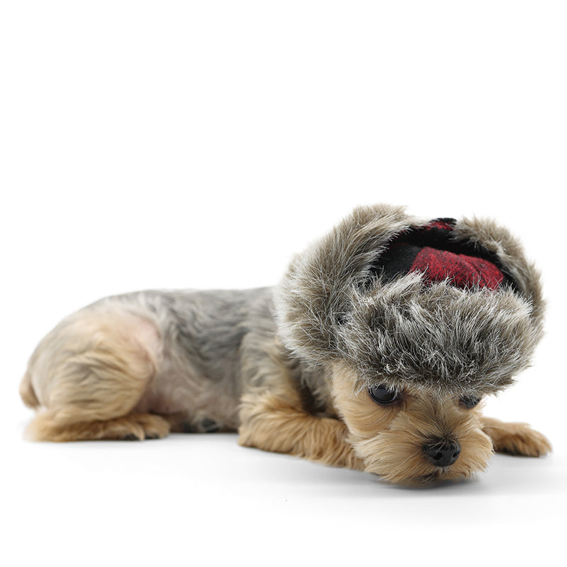 DOGO Trapper Plaid Dog Winter Hat