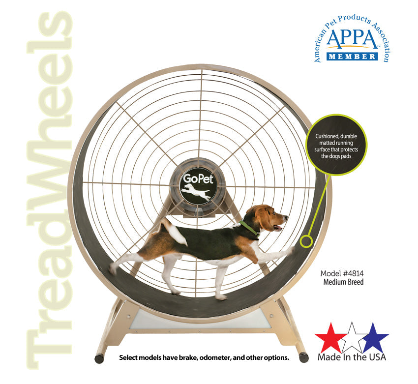 Gopet Treadwheel Dog Sized Hamster Wheel Large Dog Running Wheel