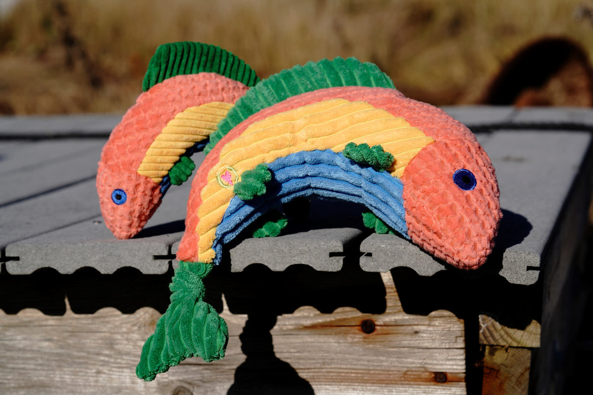 Rauccous Rainbow Trout Knottie Plush Dog Toy