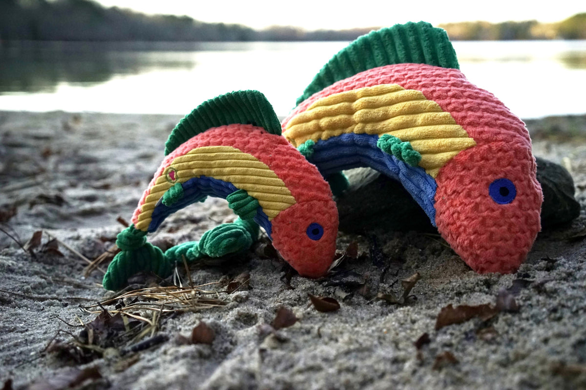 Rauccous Rainbow Trout Knottie Plush Dog Toy