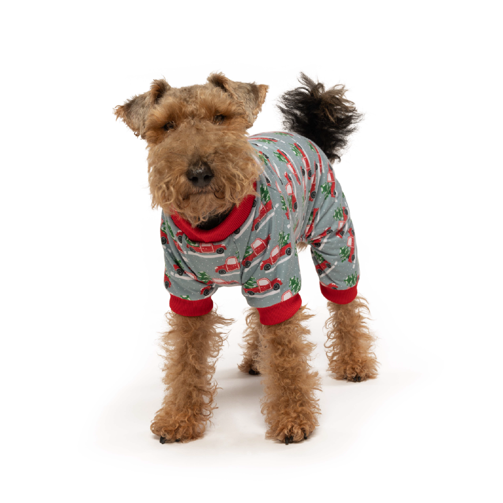 X-Mas Truck Onesie 
