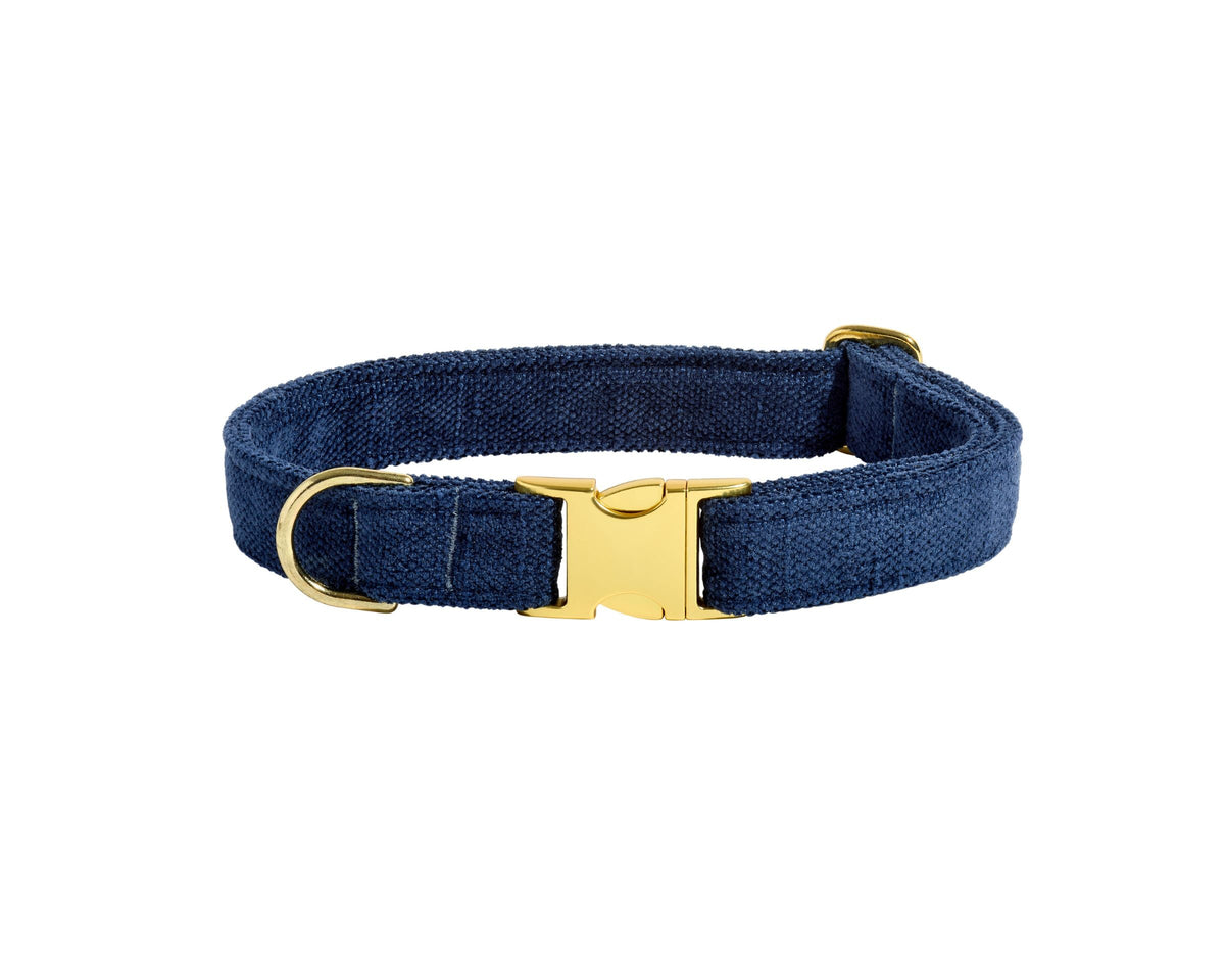 Bowsers Designer Buckle Dog Collar - Secure Everyday Fit and Designer Style